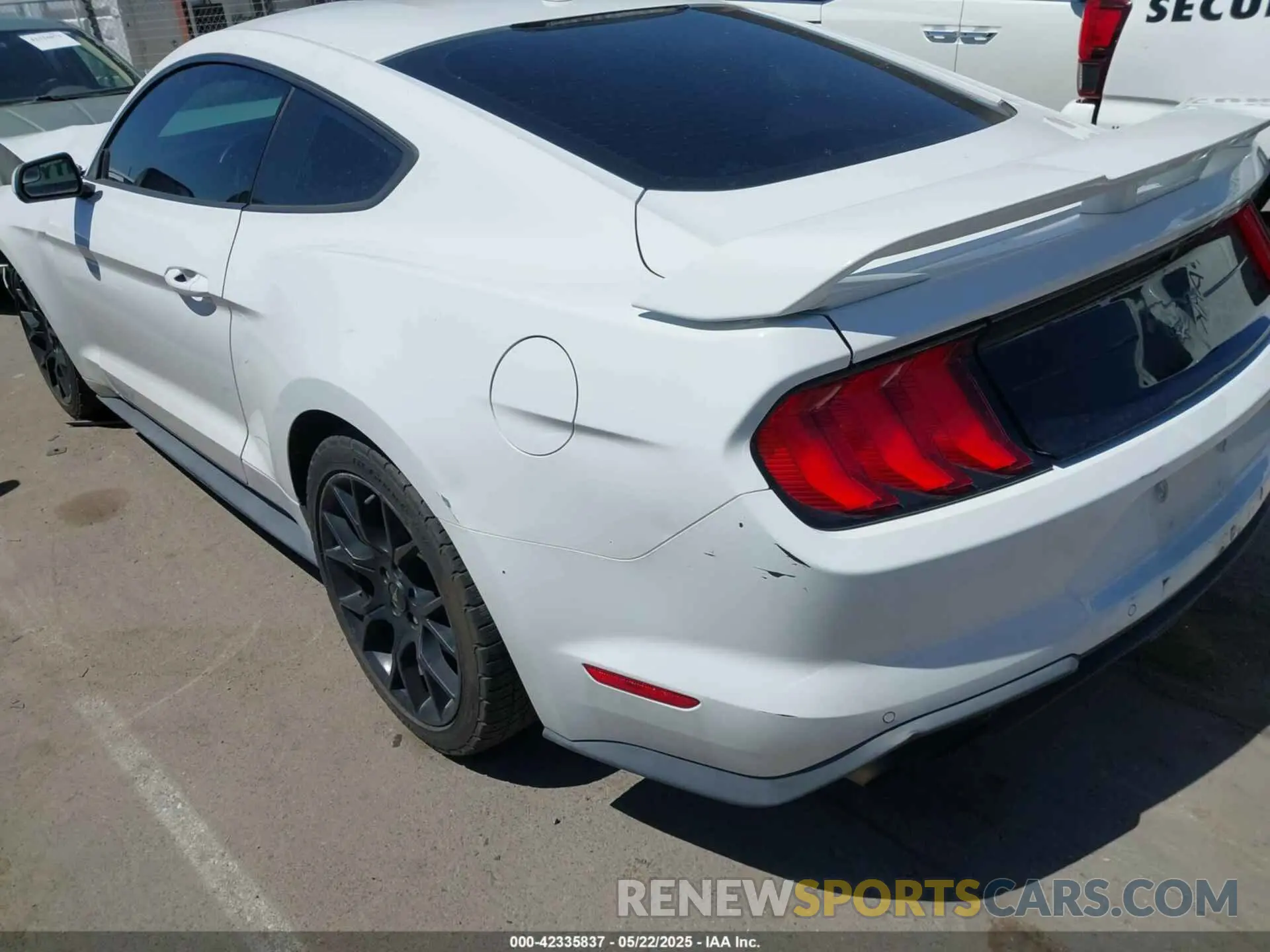 19 Photograph of a damaged car 1FA6P8TH4K5131093 FORD MUSTANG 2019