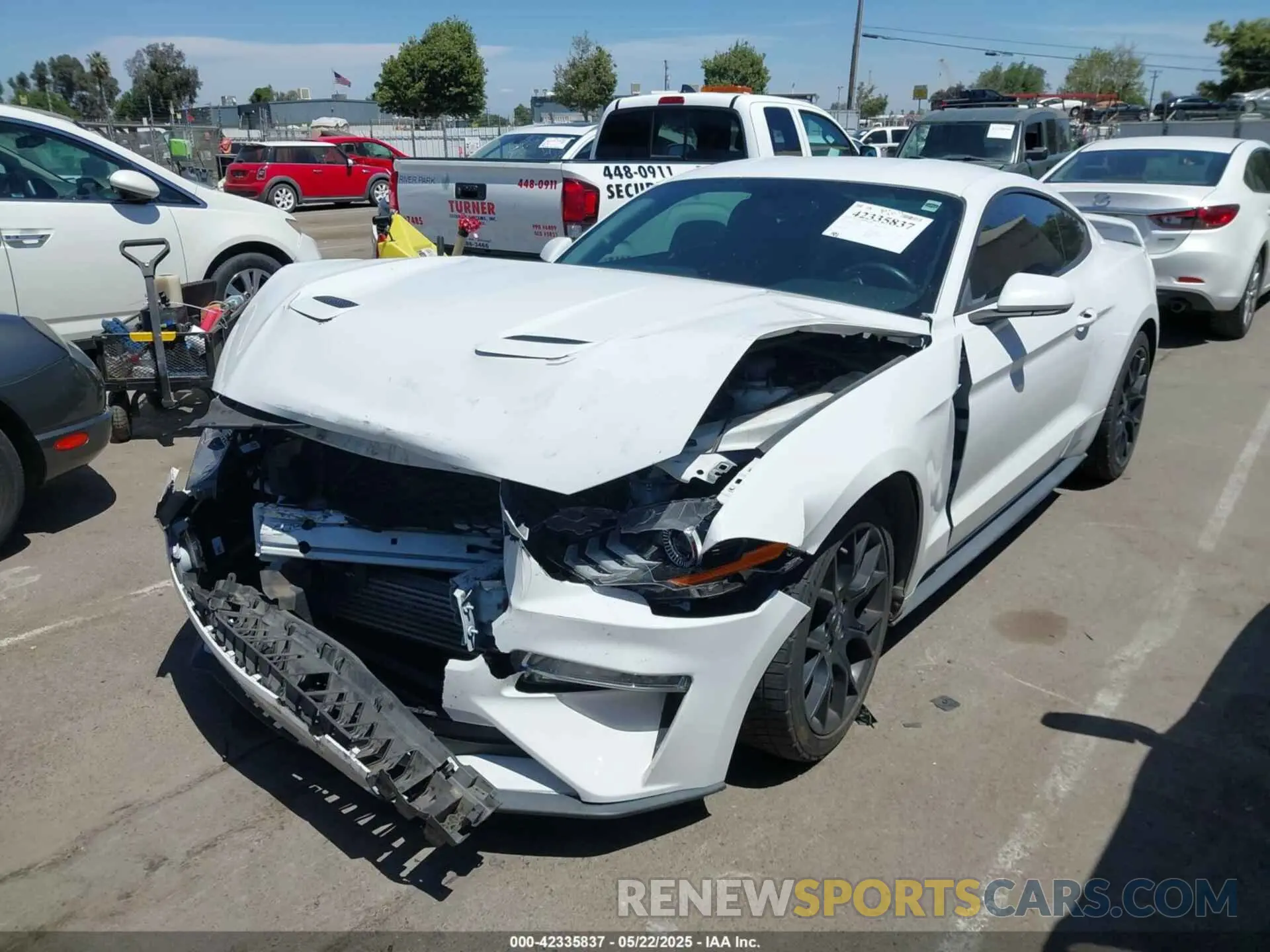 2 Photograph of a damaged car 1FA6P8TH4K5131093 FORD MUSTANG 2019