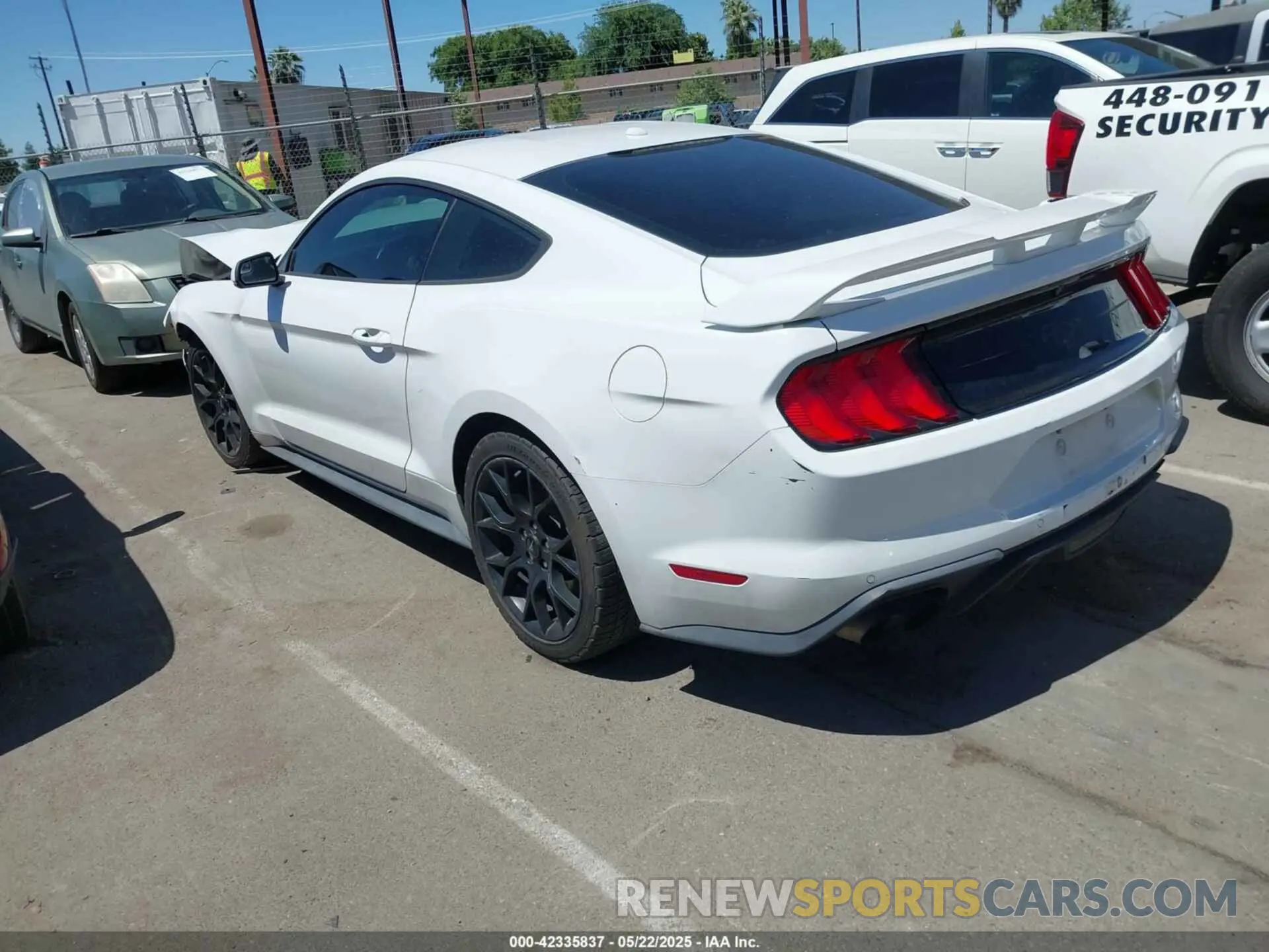 3 Photograph of a damaged car 1FA6P8TH4K5131093 FORD MUSTANG 2019