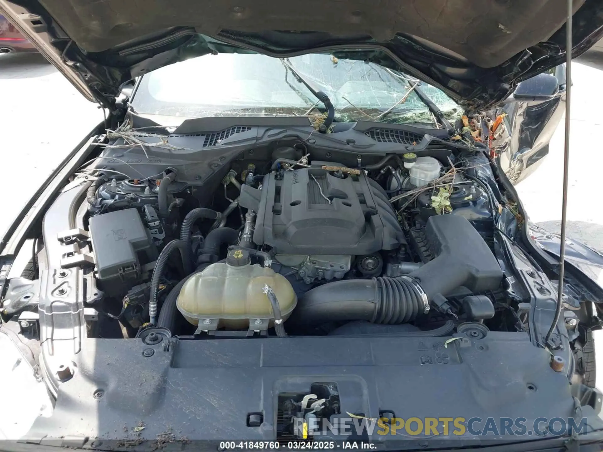 10 Photograph of a damaged car 1FA6P8TH4K5146998 FORD MUSTANG 2019