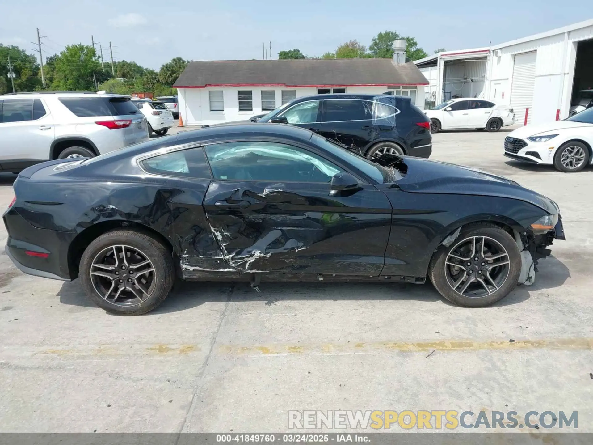 14 Photograph of a damaged car 1FA6P8TH4K5146998 FORD MUSTANG 2019