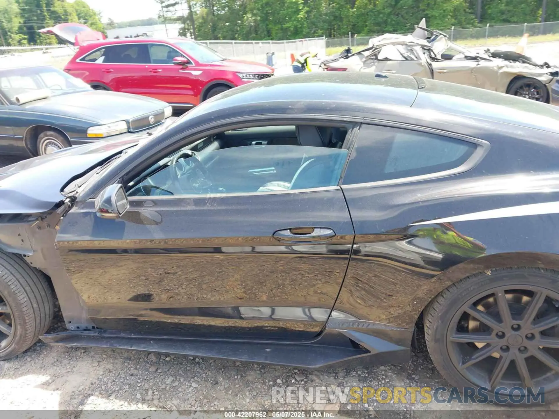 14 Photograph of a damaged car 1FA6P8TH4K5159573 FORD MUSTANG 2019