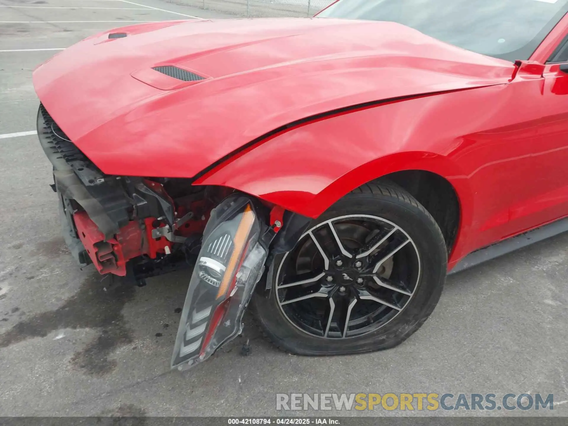 21 Photograph of a damaged car 1FA6P8TH4K5172694 FORD MUSTANG 2019