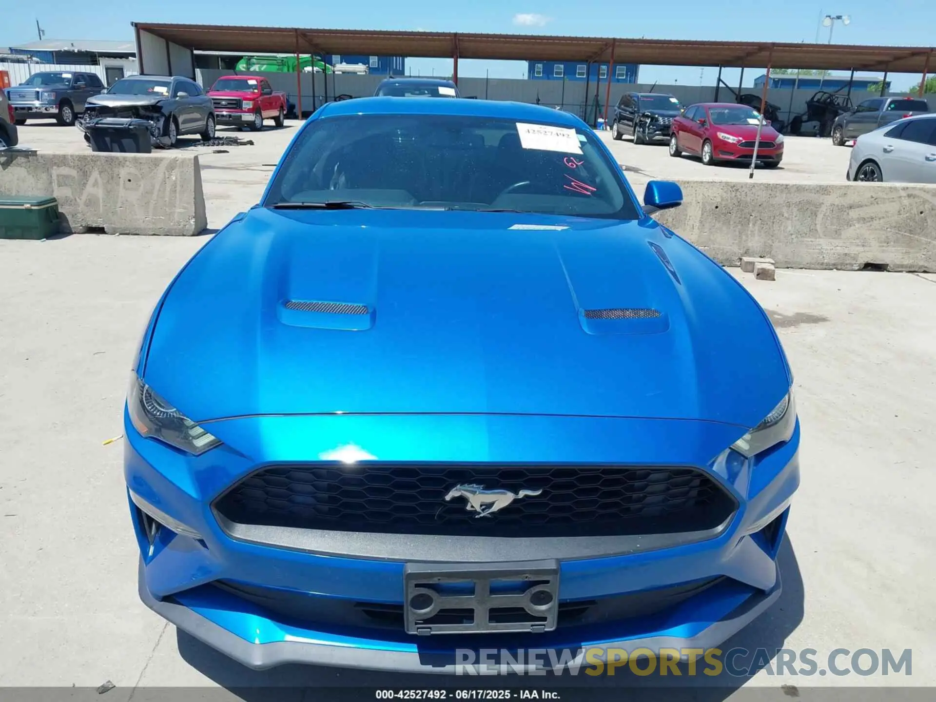 12 Photograph of a damaged car 1FA6P8TH4K5201515 FORD MUSTANG 2019