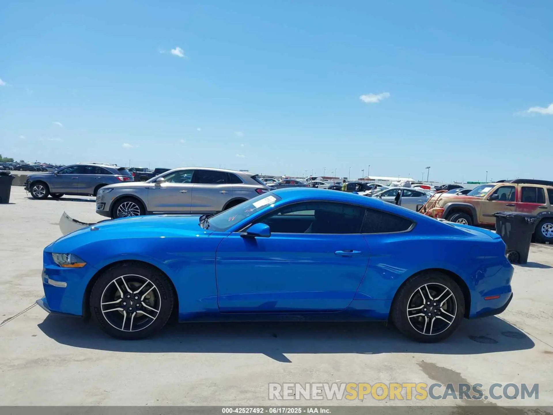 14 Photograph of a damaged car 1FA6P8TH4K5201515 FORD MUSTANG 2019