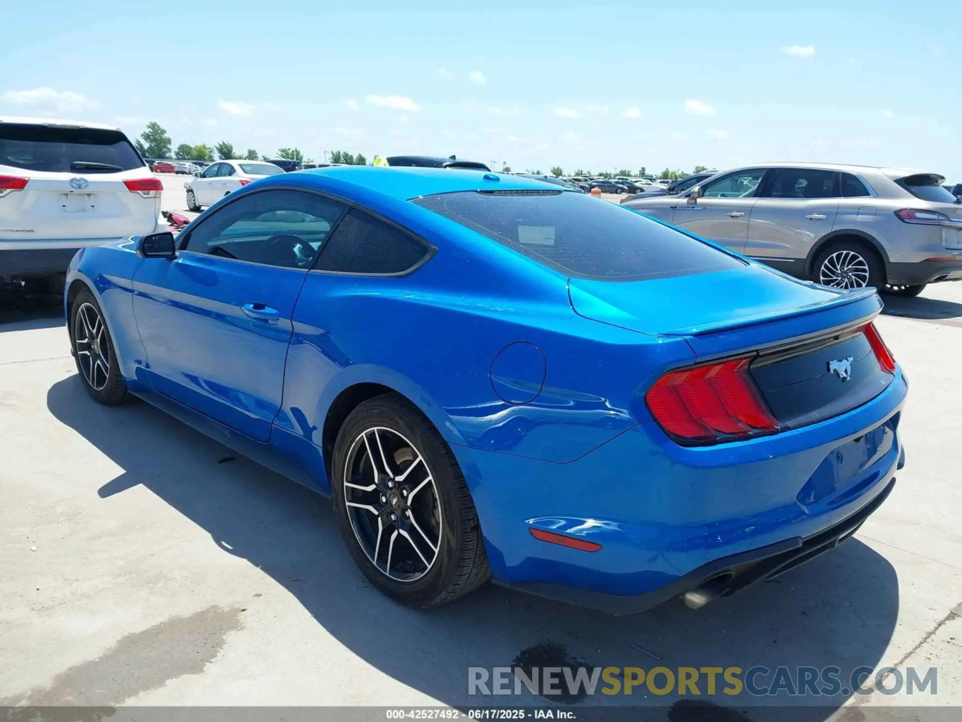 3 Photograph of a damaged car 1FA6P8TH4K5201515 FORD MUSTANG 2019