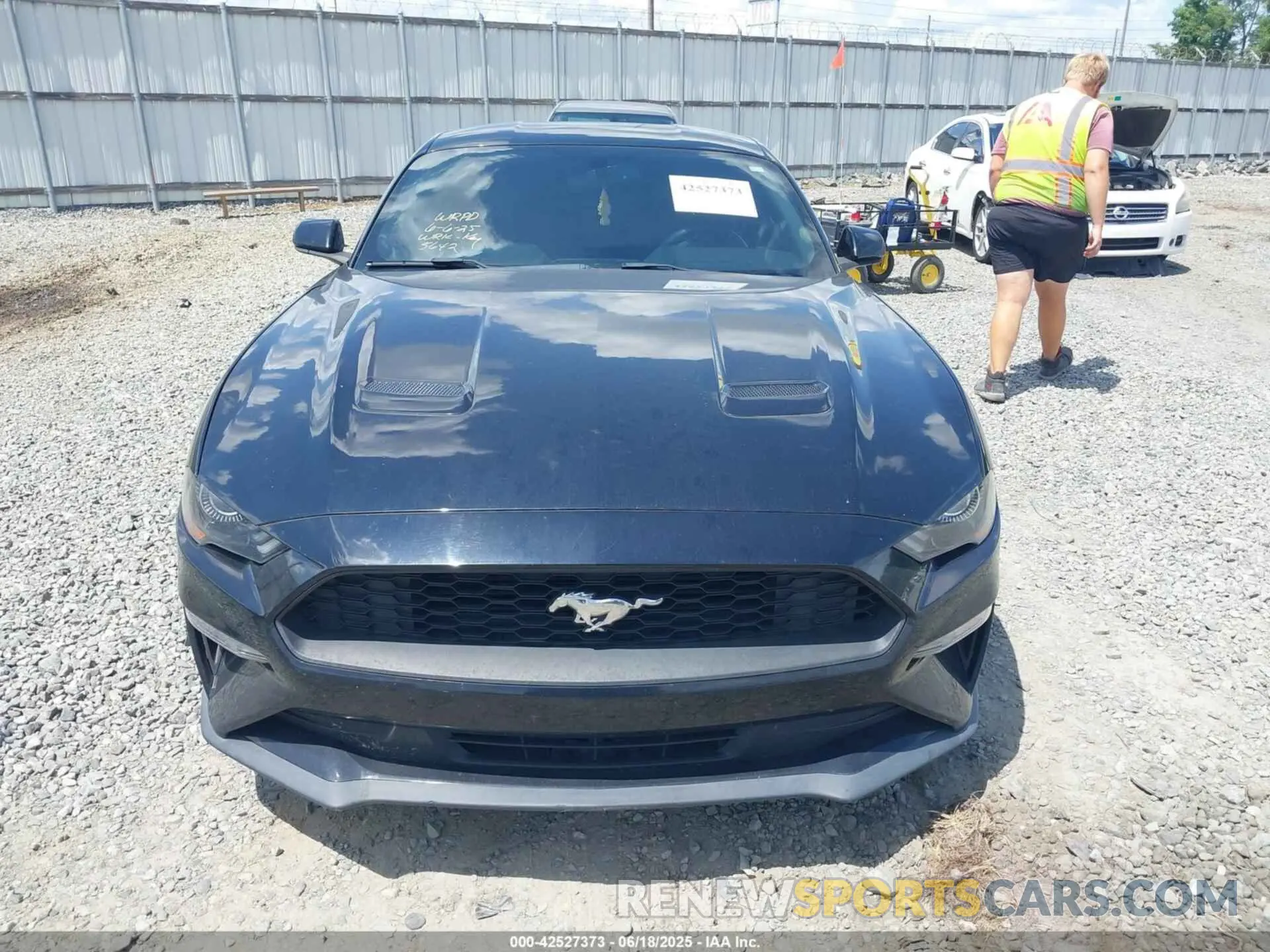 12 Photograph of a damaged car 1FA6P8TH5K5105652 FORD MUSTANG 2019