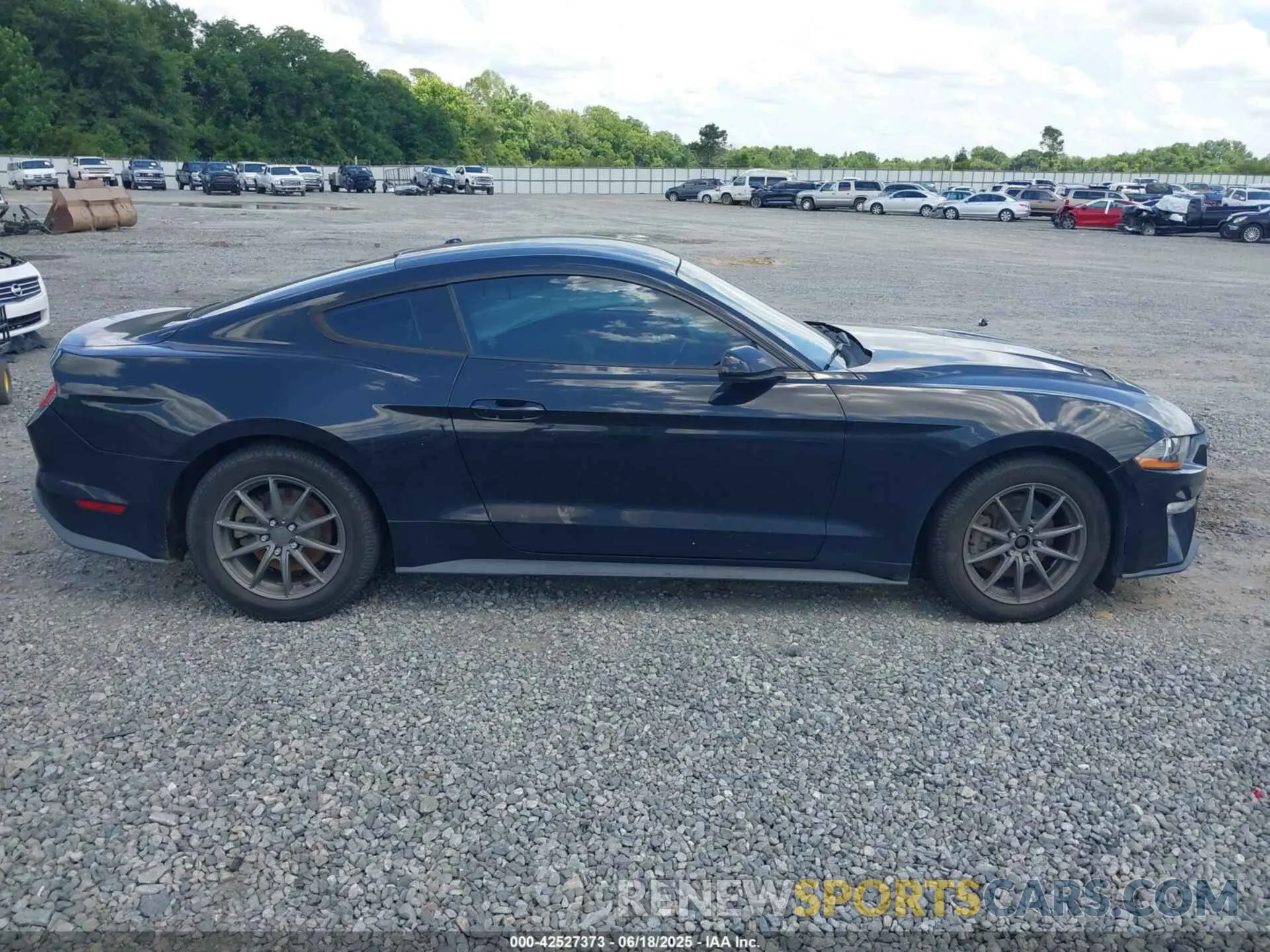 13 Photograph of a damaged car 1FA6P8TH5K5105652 FORD MUSTANG 2019