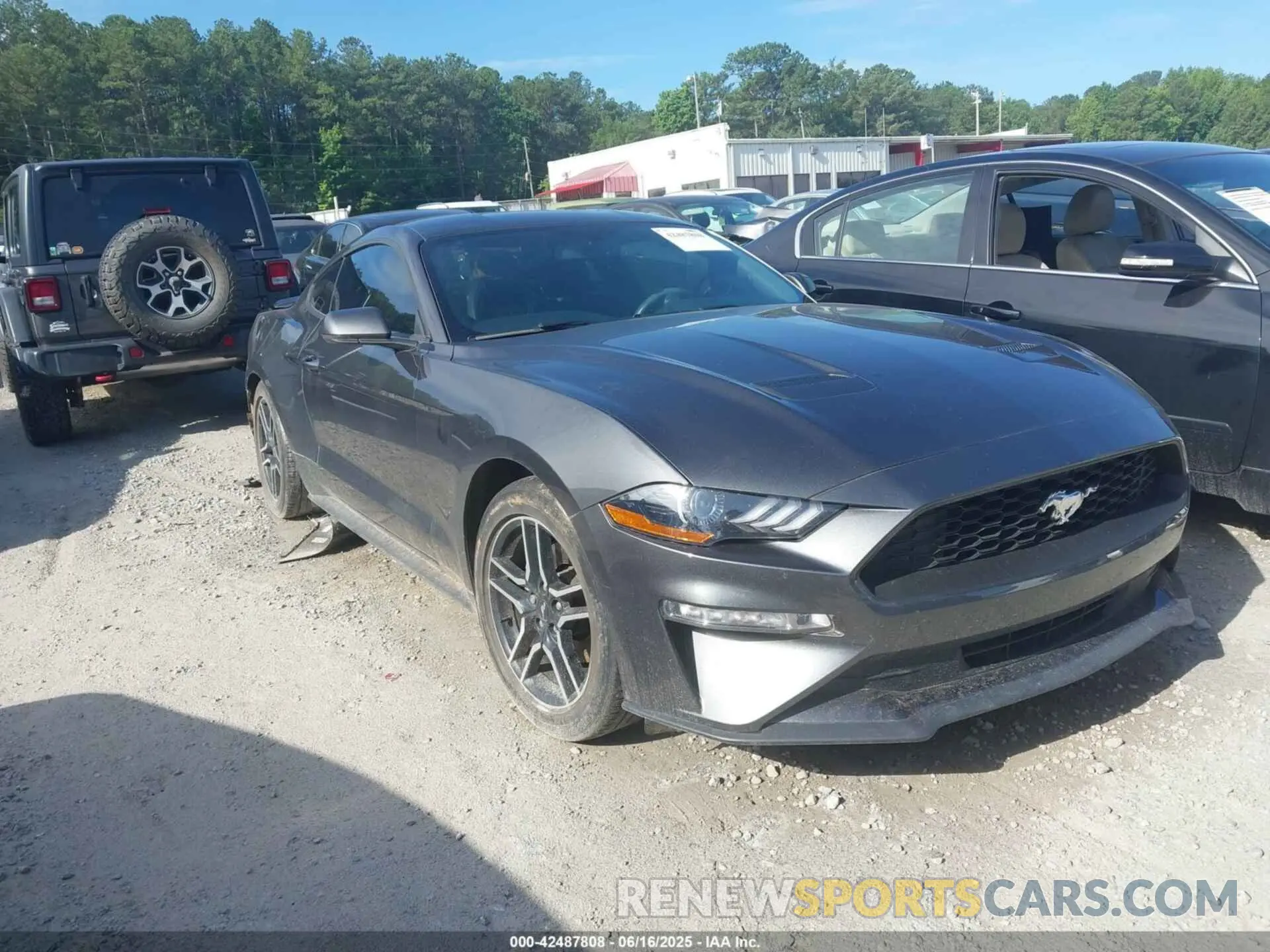 1 Photograph of a damaged car 1FA6P8TH5K5116389 FORD MUSTANG 2019
