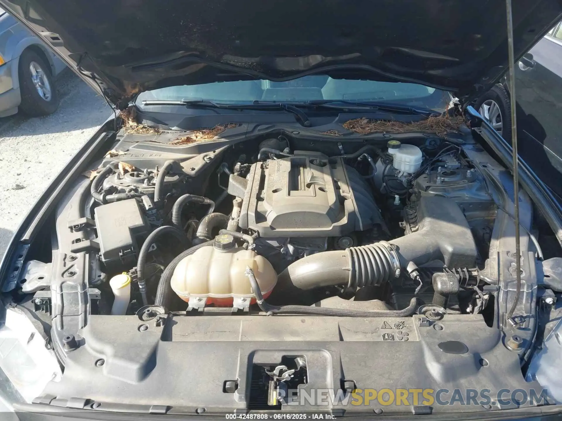 10 Photograph of a damaged car 1FA6P8TH5K5116389 FORD MUSTANG 2019