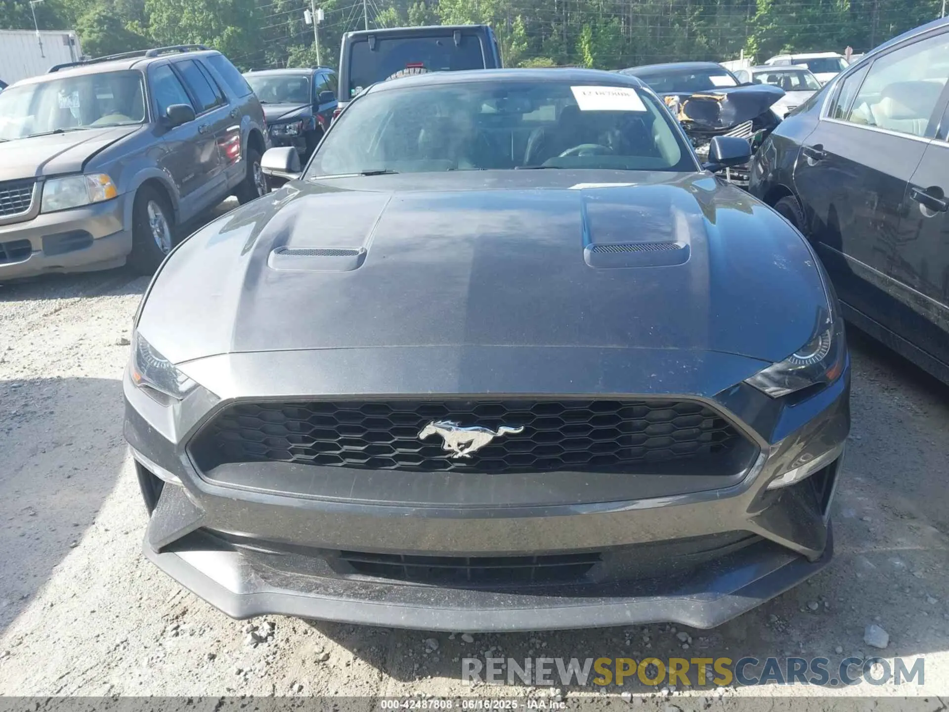 12 Photograph of a damaged car 1FA6P8TH5K5116389 FORD MUSTANG 2019