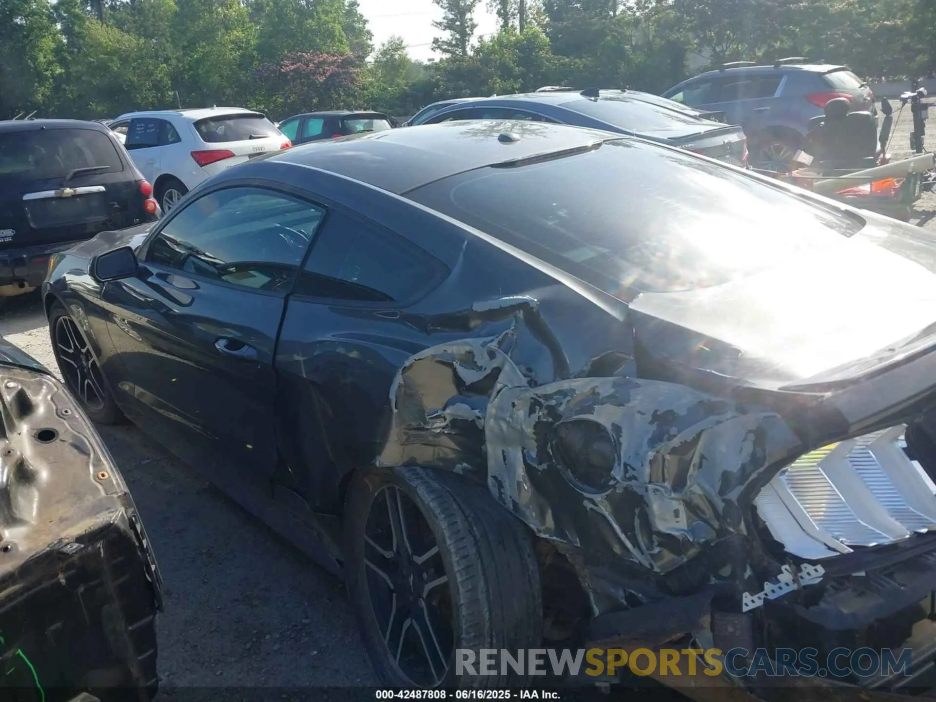 14 Photograph of a damaged car 1FA6P8TH5K5116389 FORD MUSTANG 2019