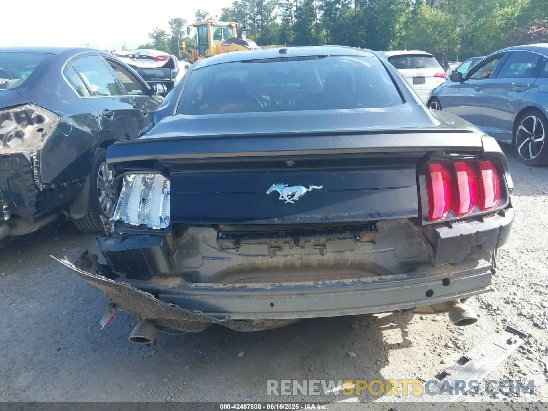 16 Photograph of a damaged car 1FA6P8TH5K5116389 FORD MUSTANG 2019