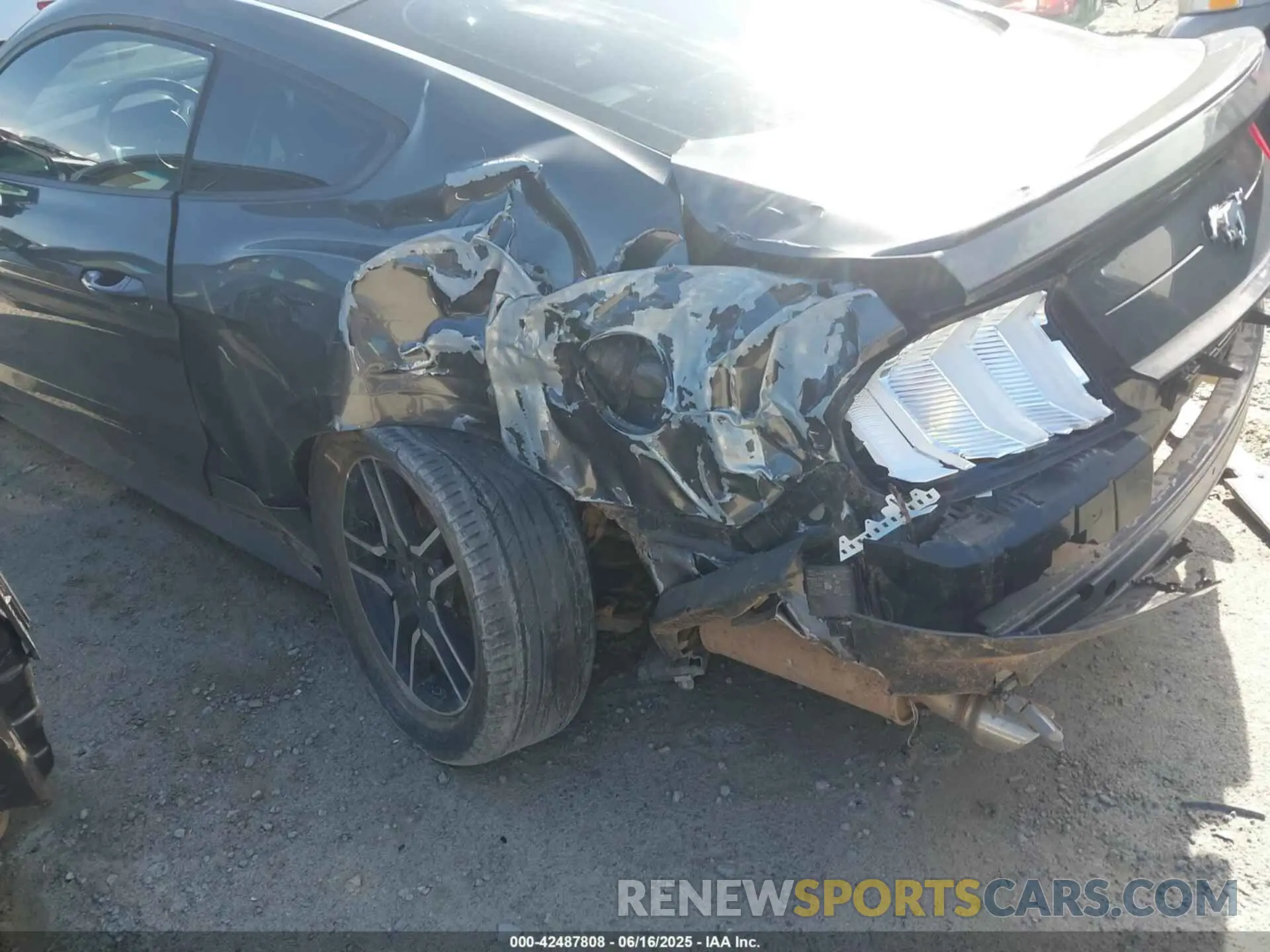 18 Photograph of a damaged car 1FA6P8TH5K5116389 FORD MUSTANG 2019