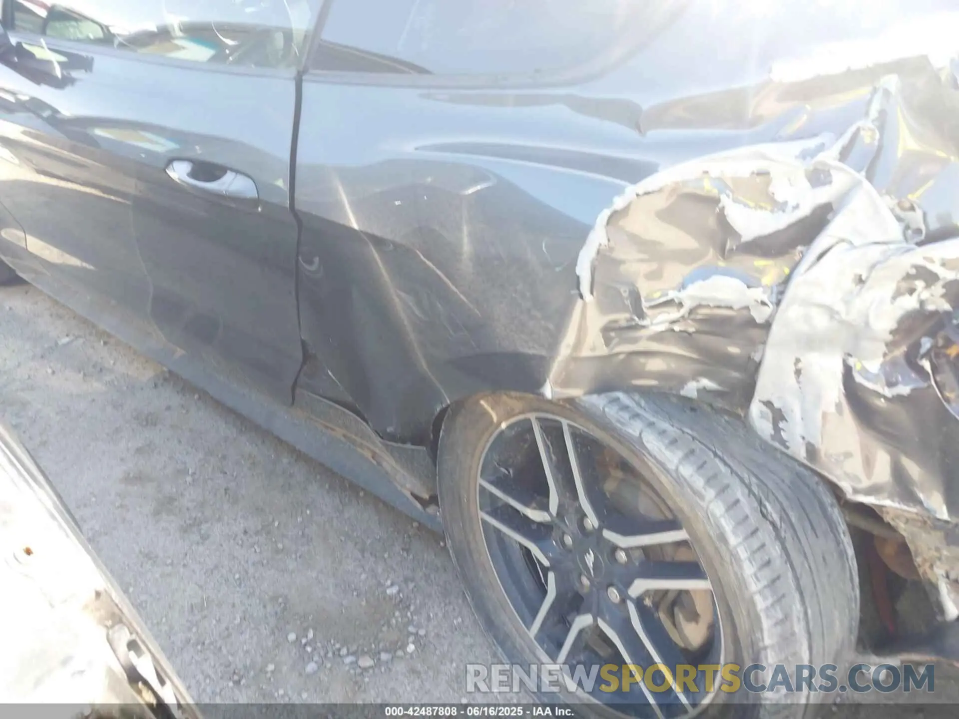 19 Photograph of a damaged car 1FA6P8TH5K5116389 FORD MUSTANG 2019