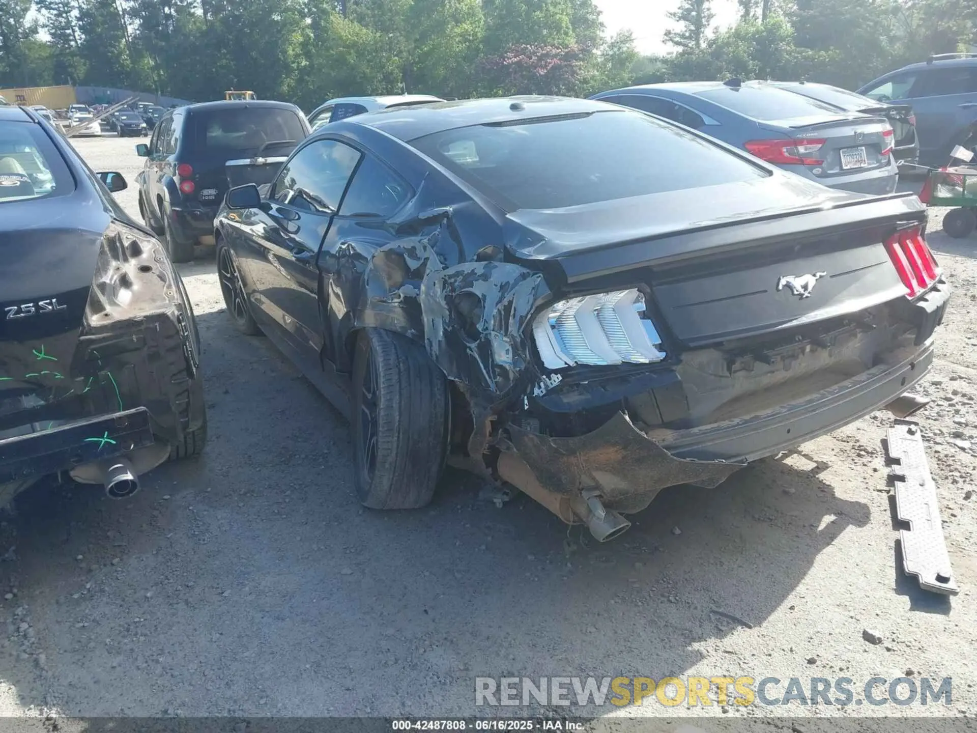 3 Photograph of a damaged car 1FA6P8TH5K5116389 FORD MUSTANG 2019