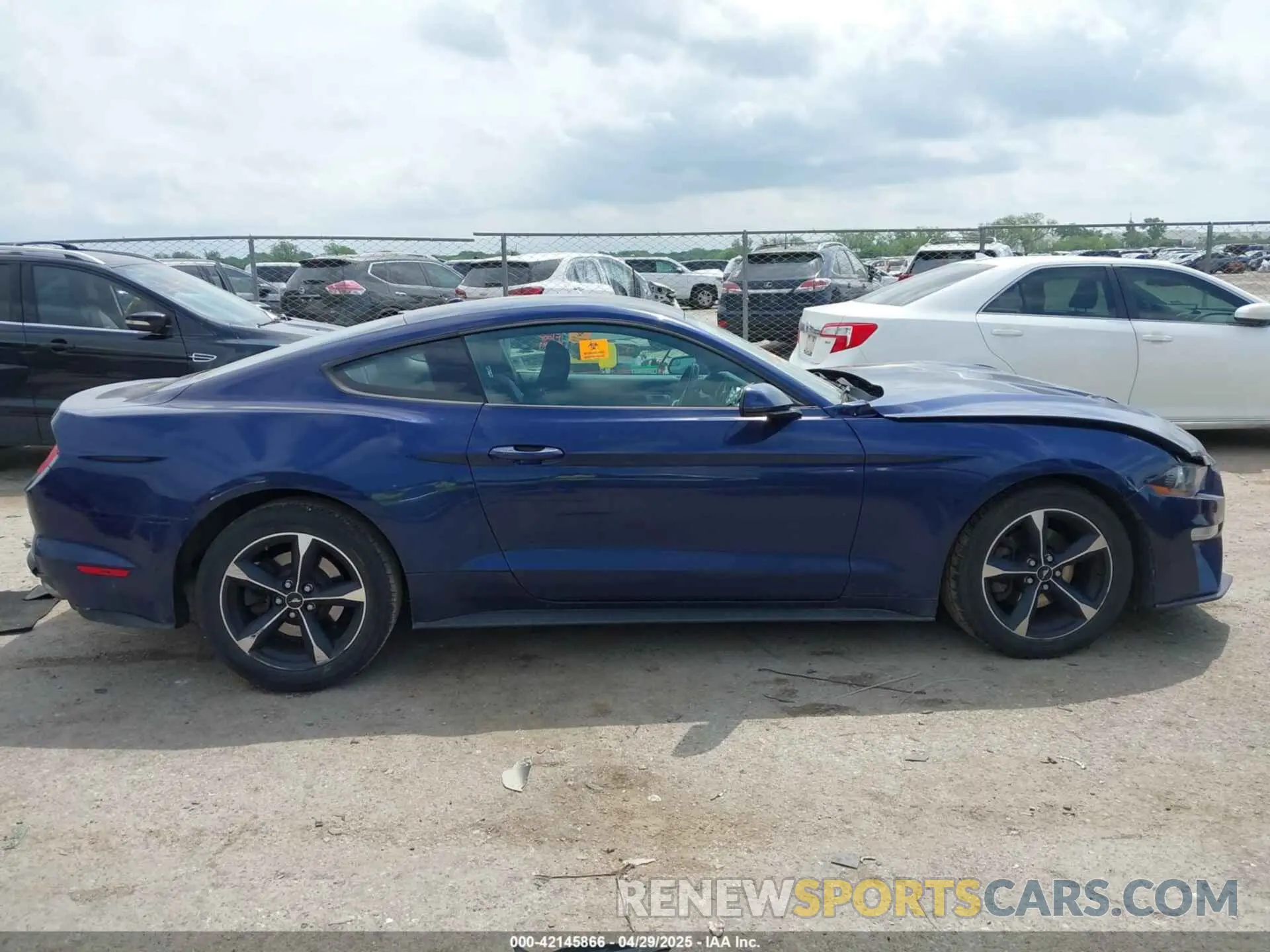 14 Photograph of a damaged car 1FA6P8TH5K5157279 FORD MUSTANG 2019