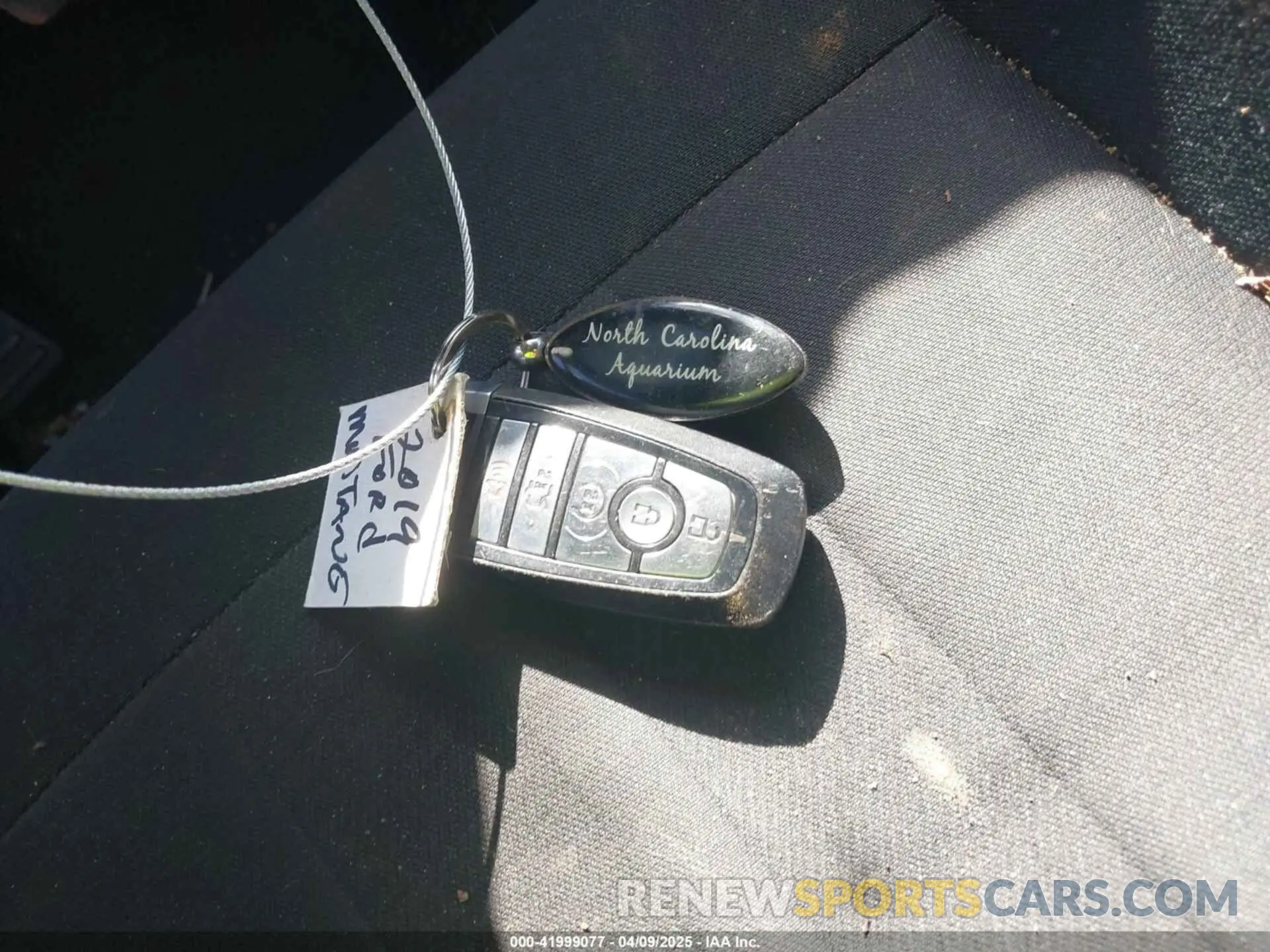 11 Photograph of a damaged car 1FA6P8TH5K5185938 FORD MUSTANG 2019