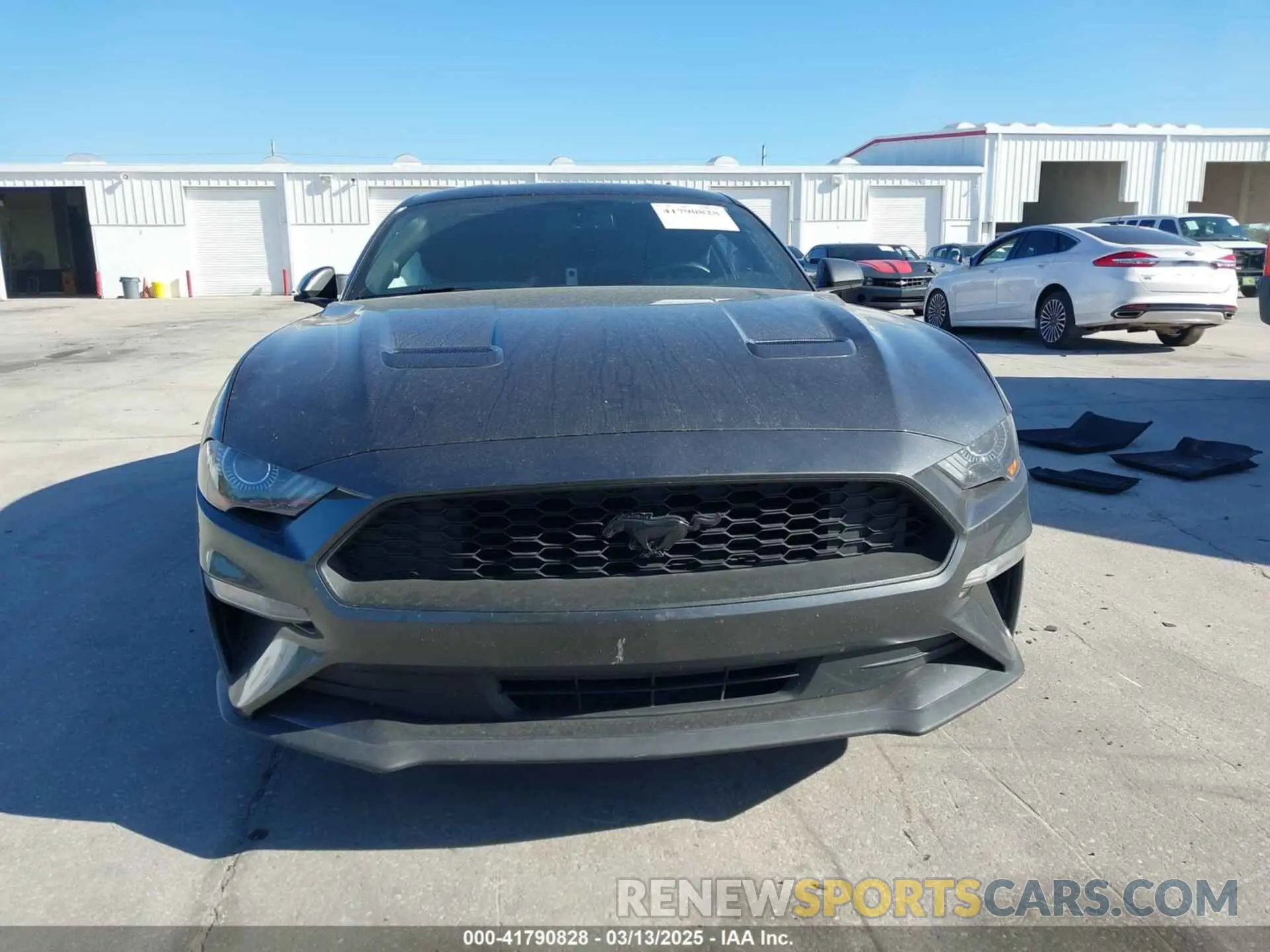 12 Photograph of a damaged car 1FA6P8TH5K5195742 FORD MUSTANG 2019