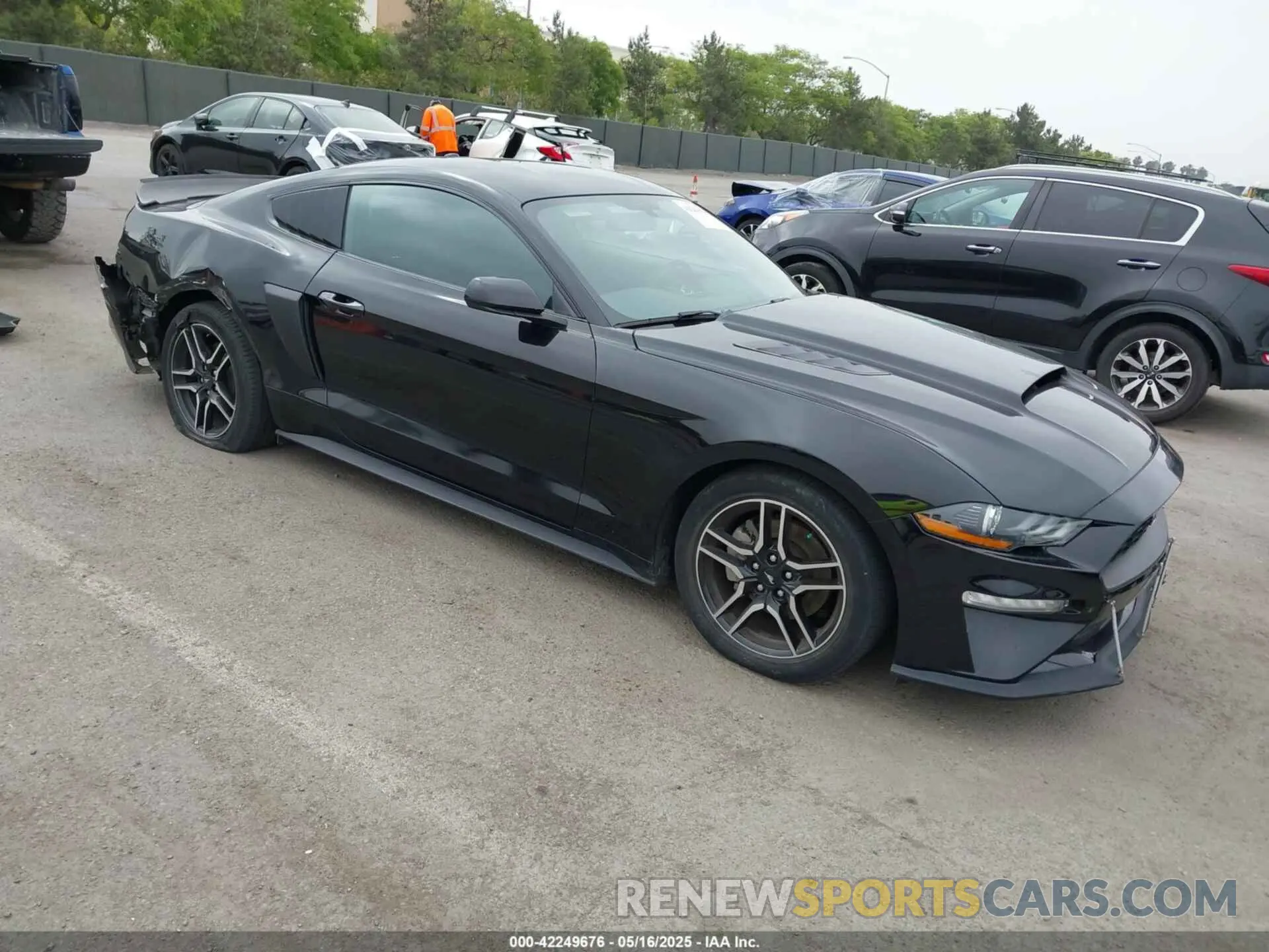 1 Photograph of a damaged car 1FA6P8TH5K5196535 FORD MUSTANG 2019