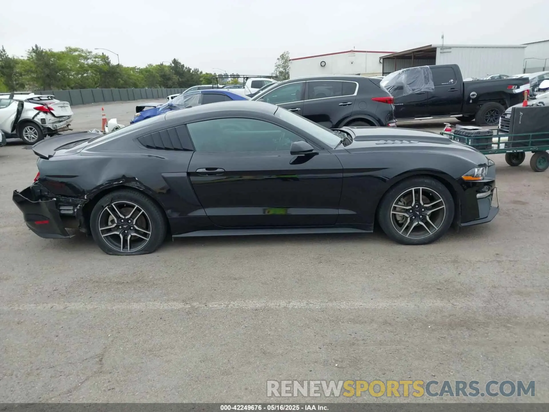 13 Photograph of a damaged car 1FA6P8TH5K5196535 FORD MUSTANG 2019