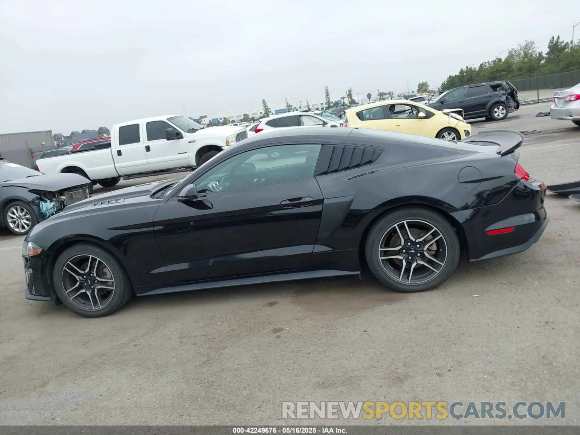 14 Photograph of a damaged car 1FA6P8TH5K5196535 FORD MUSTANG 2019