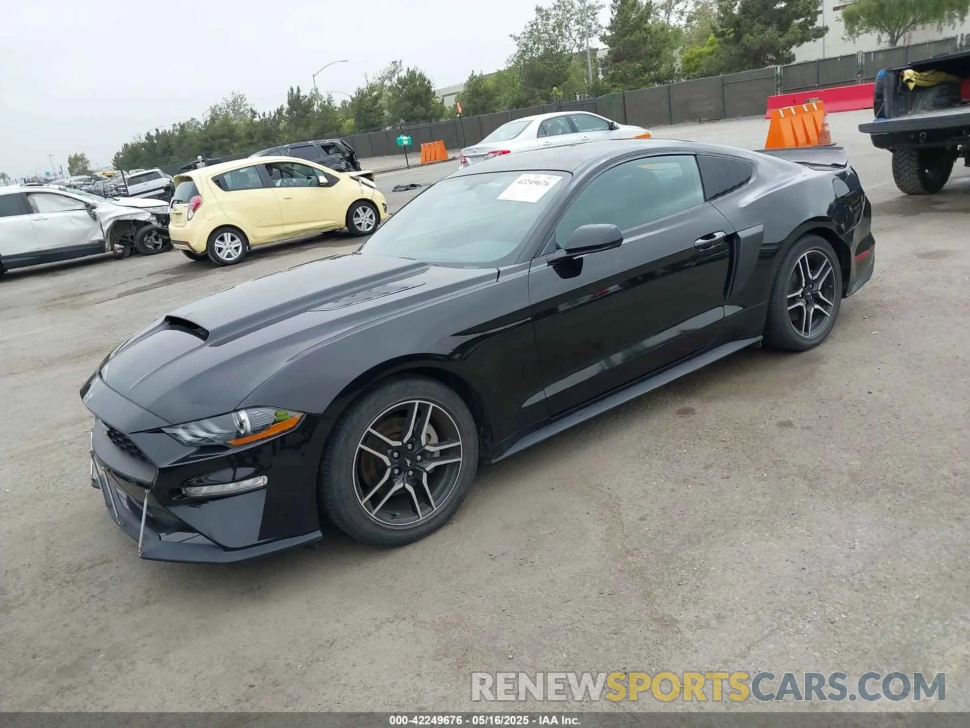2 Photograph of a damaged car 1FA6P8TH5K5196535 FORD MUSTANG 2019
