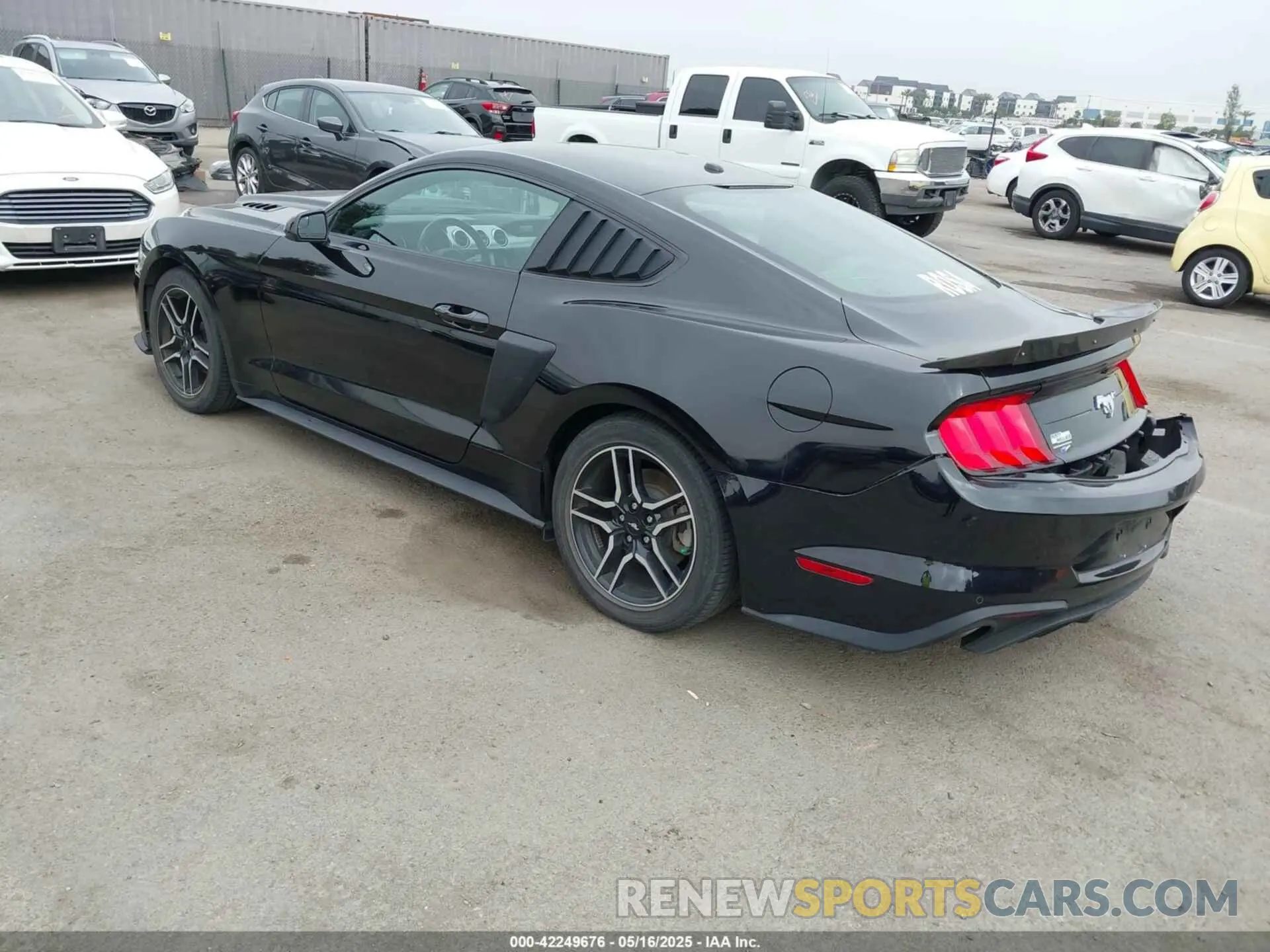 3 Photograph of a damaged car 1FA6P8TH5K5196535 FORD MUSTANG 2019