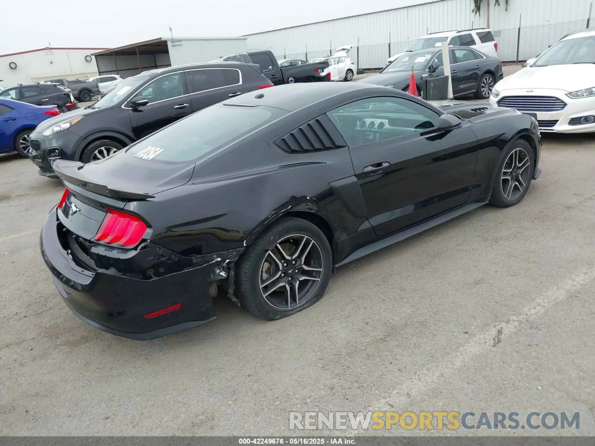 4 Photograph of a damaged car 1FA6P8TH5K5196535 FORD MUSTANG 2019
