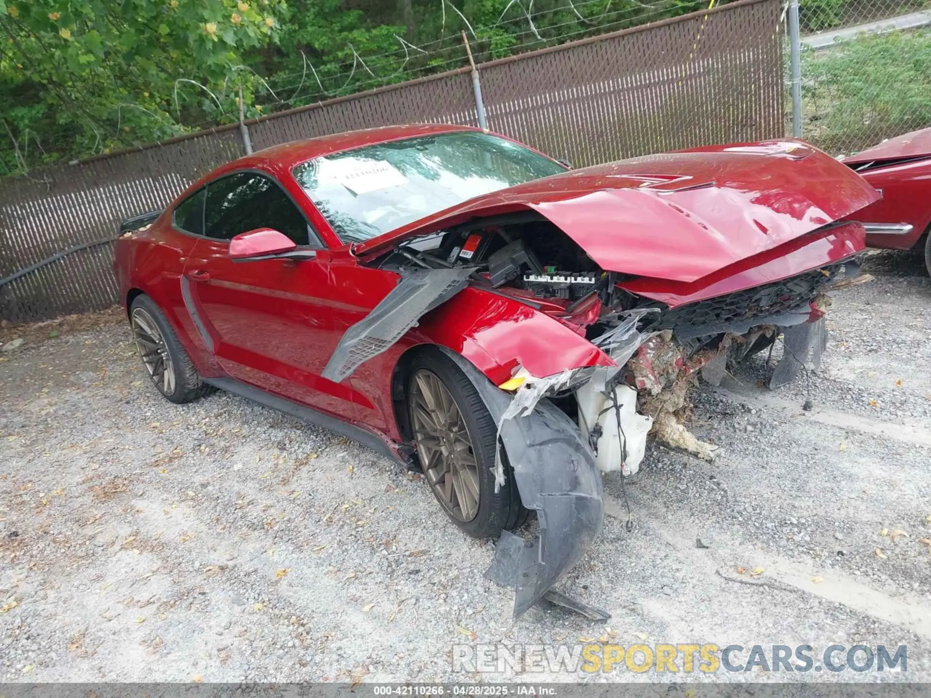 1 Photograph of a damaged car 1FA6P8TH6K5106342 FORD MUSTANG 2019