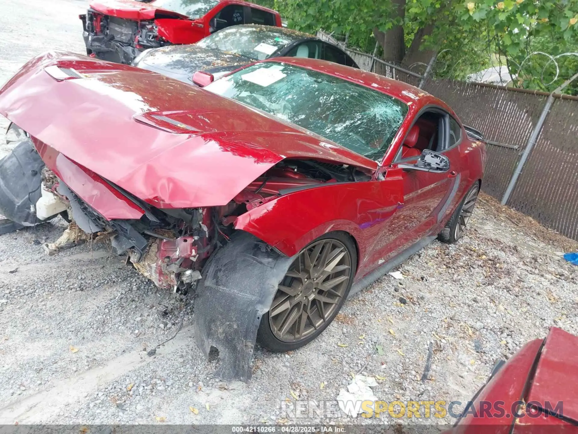 2 Photograph of a damaged car 1FA6P8TH6K5106342 FORD MUSTANG 2019