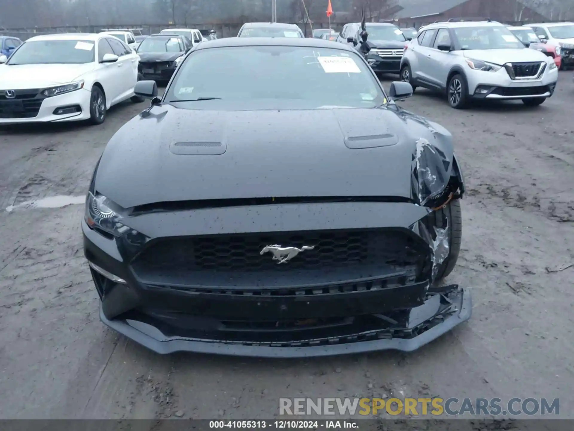 12 Photograph of a damaged car 1FA6P8TH6K5139647 FORD MUSTANG 2019