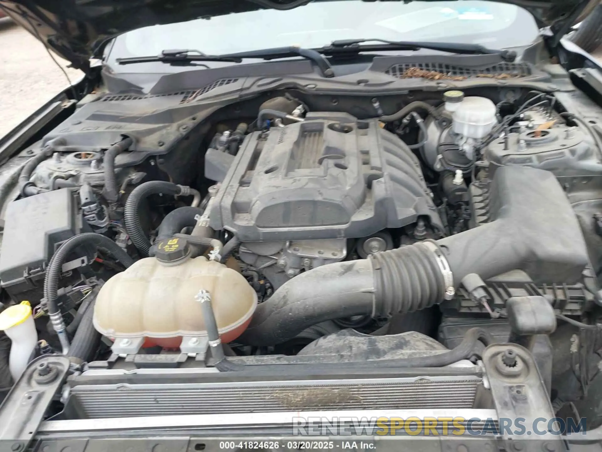 10 Photograph of a damaged car 1FA6P8TH6K5166654 FORD MUSTANG 2019