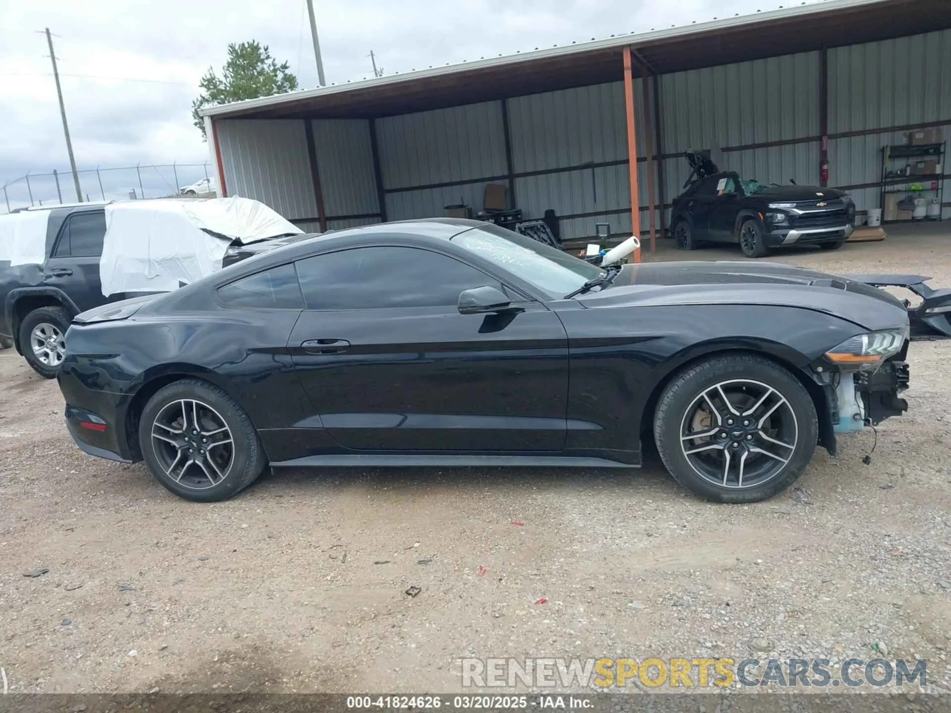 14 Photograph of a damaged car 1FA6P8TH6K5166654 FORD MUSTANG 2019