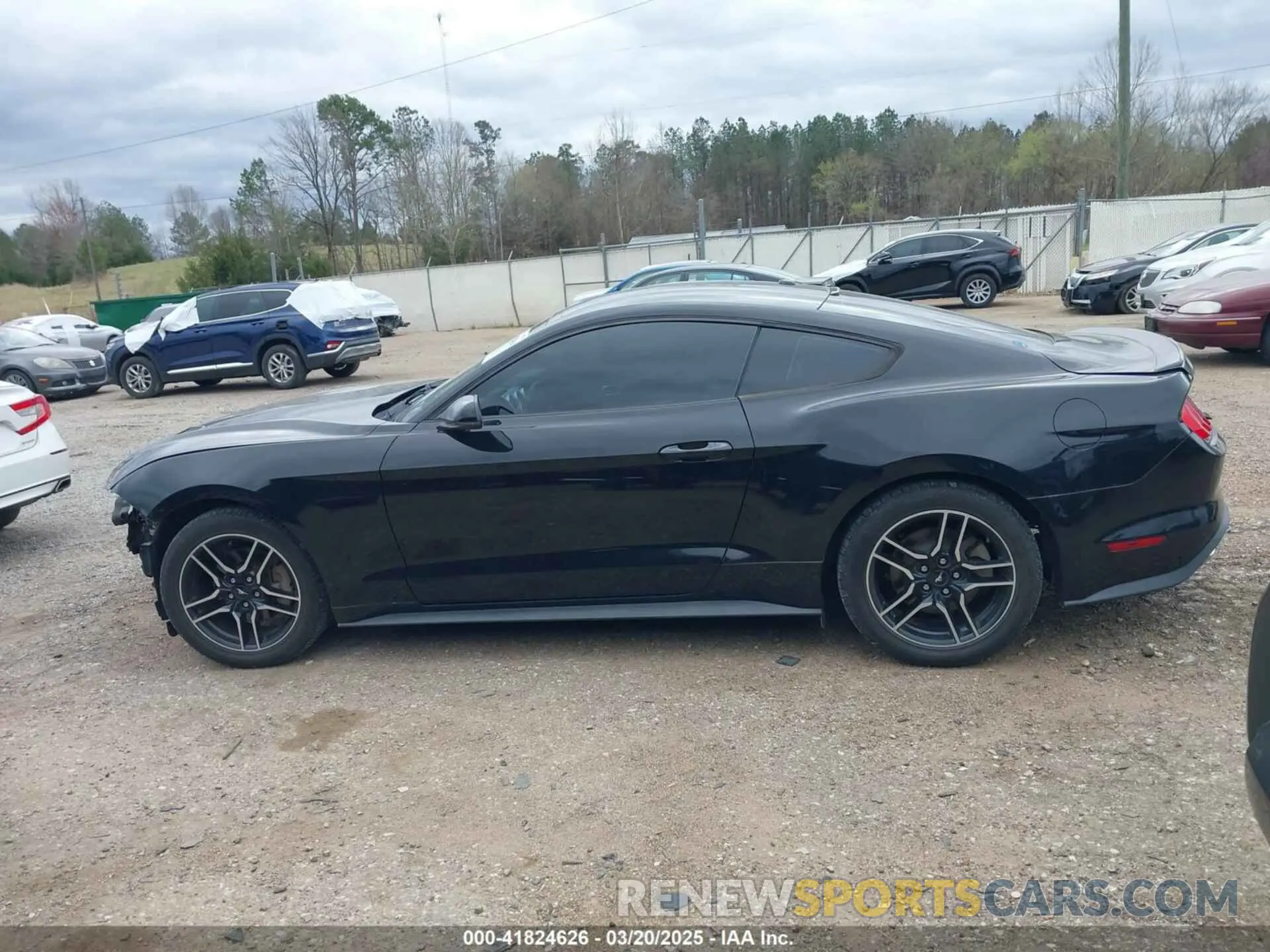 15 Photograph of a damaged car 1FA6P8TH6K5166654 FORD MUSTANG 2019