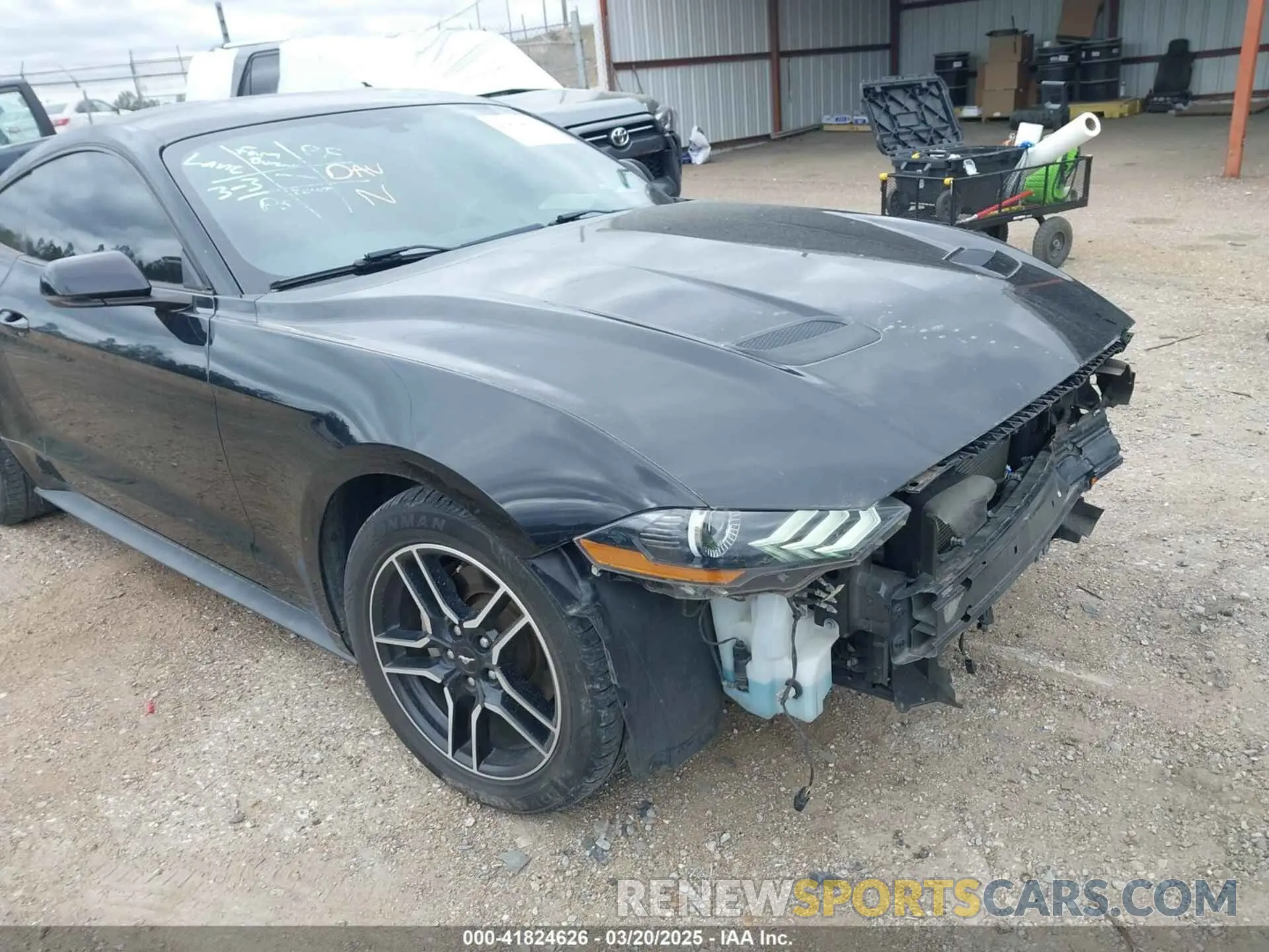 19 Photograph of a damaged car 1FA6P8TH6K5166654 FORD MUSTANG 2019