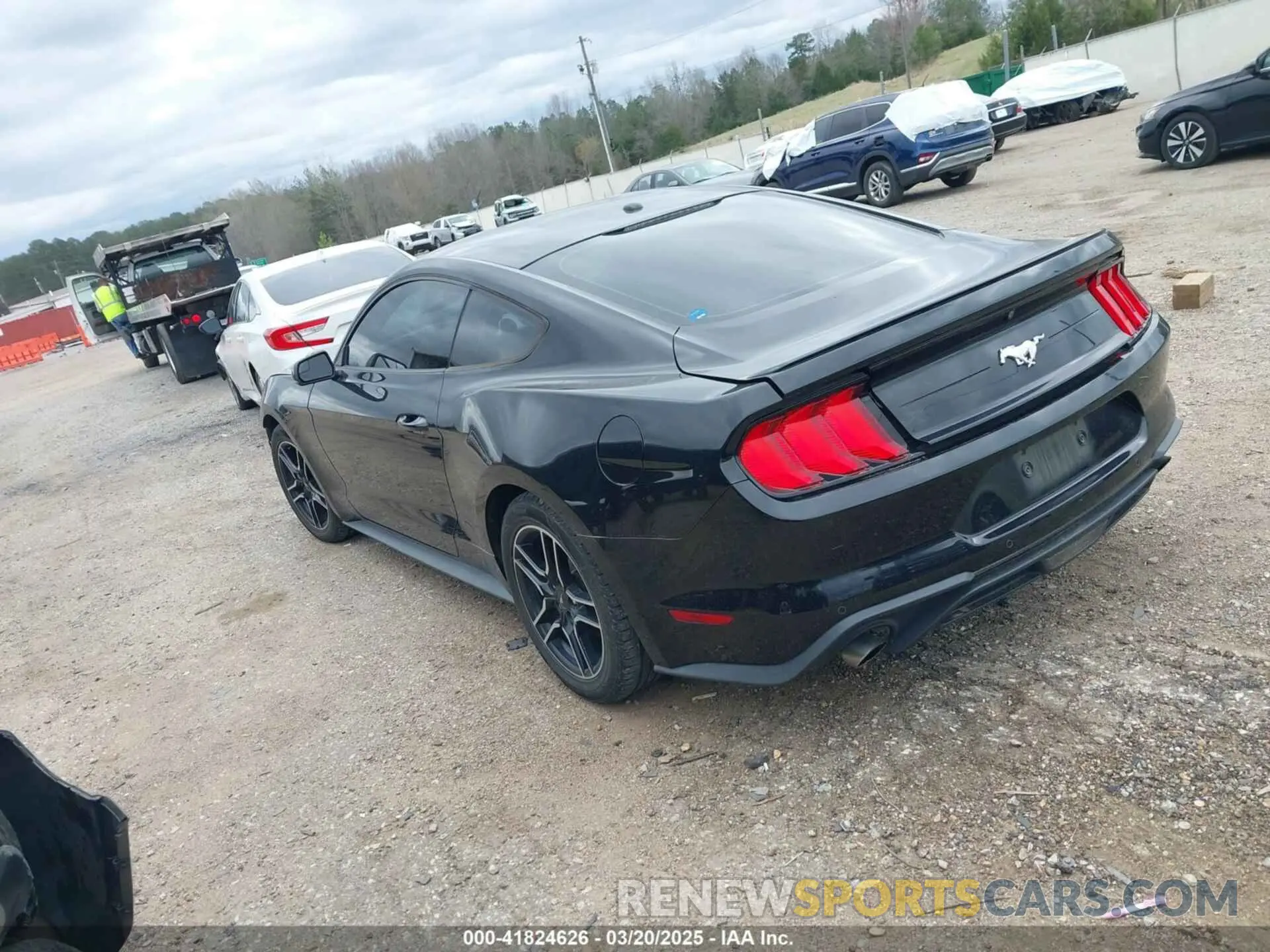 3 Photograph of a damaged car 1FA6P8TH6K5166654 FORD MUSTANG 2019