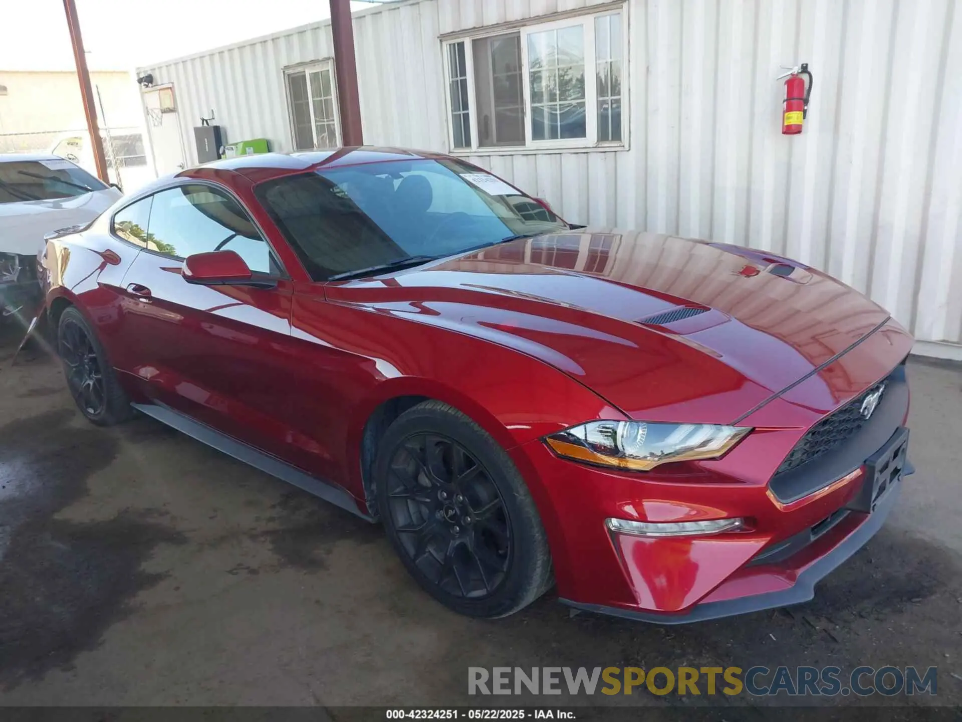 1 Photograph of a damaged car 1FA6P8TH6K5186130 FORD MUSTANG 2019