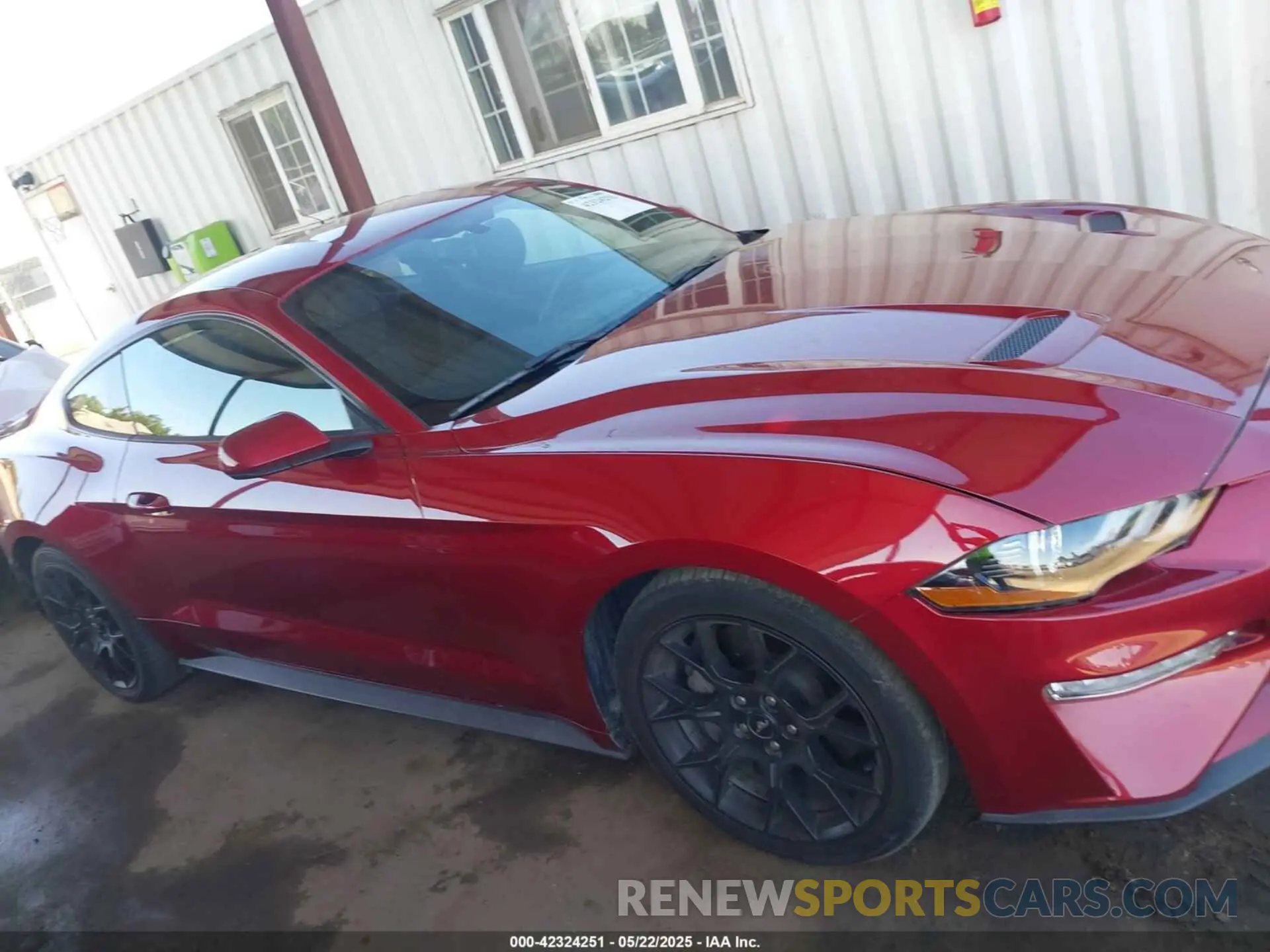 14 Photograph of a damaged car 1FA6P8TH6K5186130 FORD MUSTANG 2019