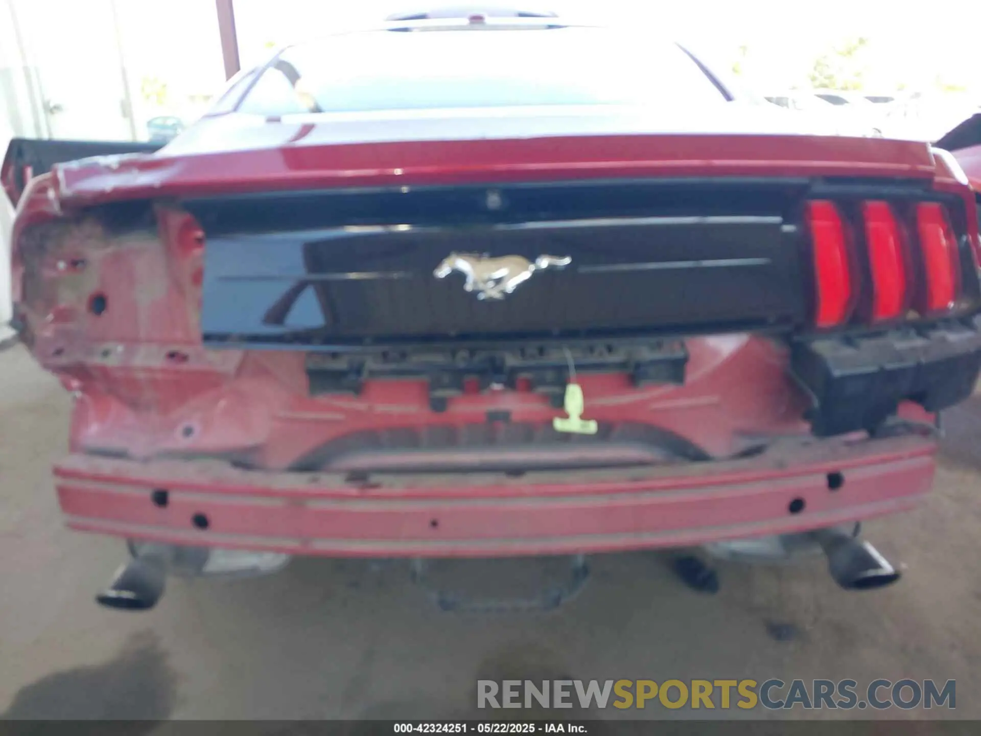 6 Photograph of a damaged car 1FA6P8TH6K5186130 FORD MUSTANG 2019