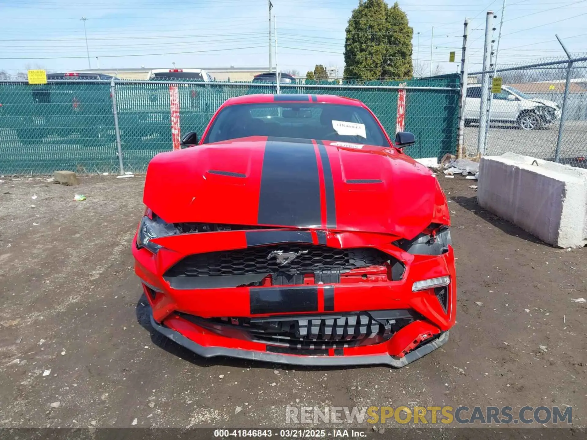 13 Photograph of a damaged car 1FA6P8TH6K5197340 FORD MUSTANG 2019