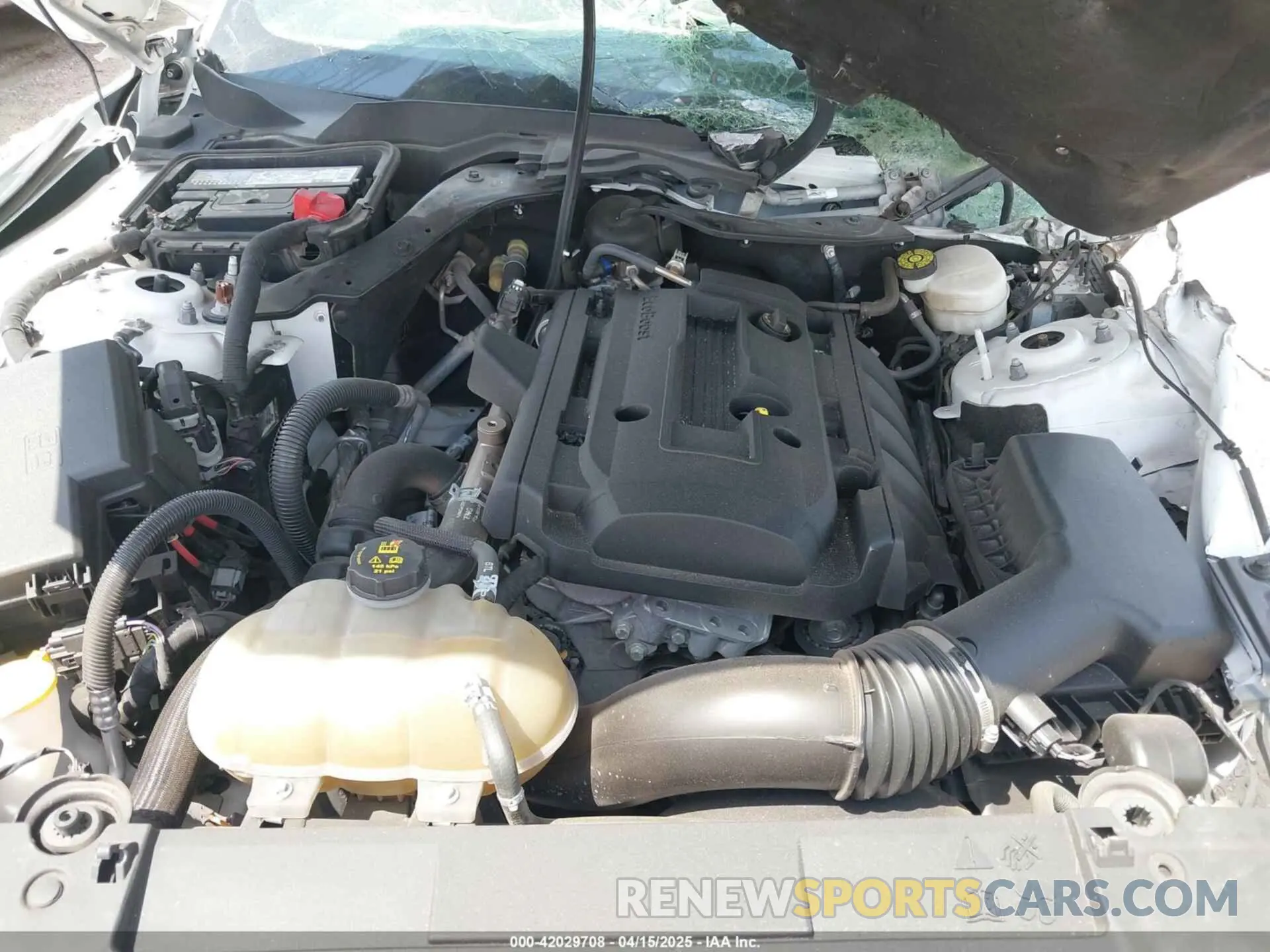 10 Photograph of a damaged car 1FA6P8TH6K5201807 FORD MUSTANG 2019