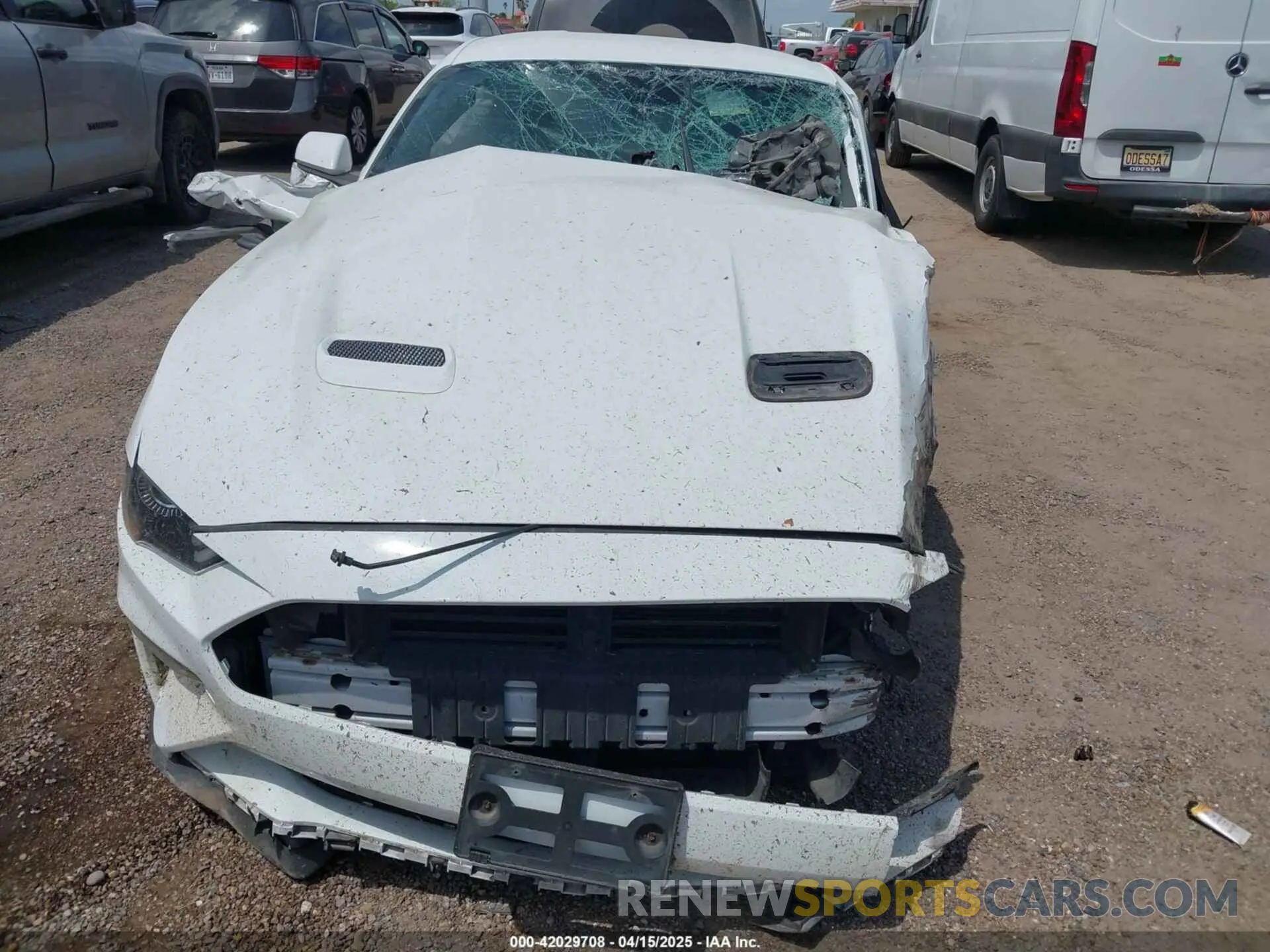 12 Photograph of a damaged car 1FA6P8TH6K5201807 FORD MUSTANG 2019