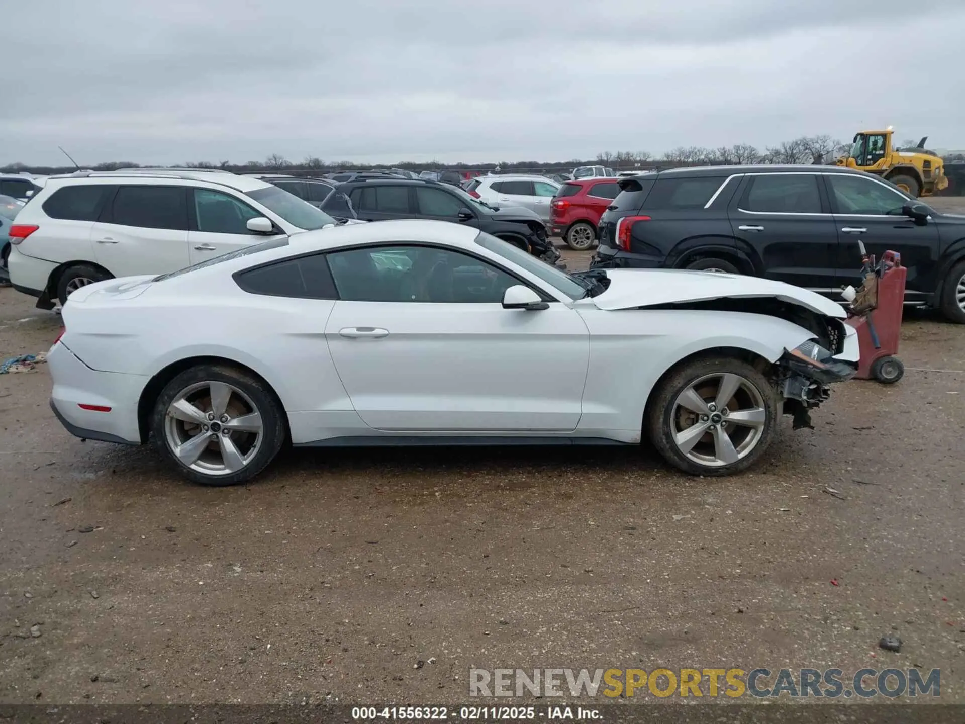 12 Photograph of a damaged car 1FA6P8TH6K5201919 FORD MUSTANG 2019