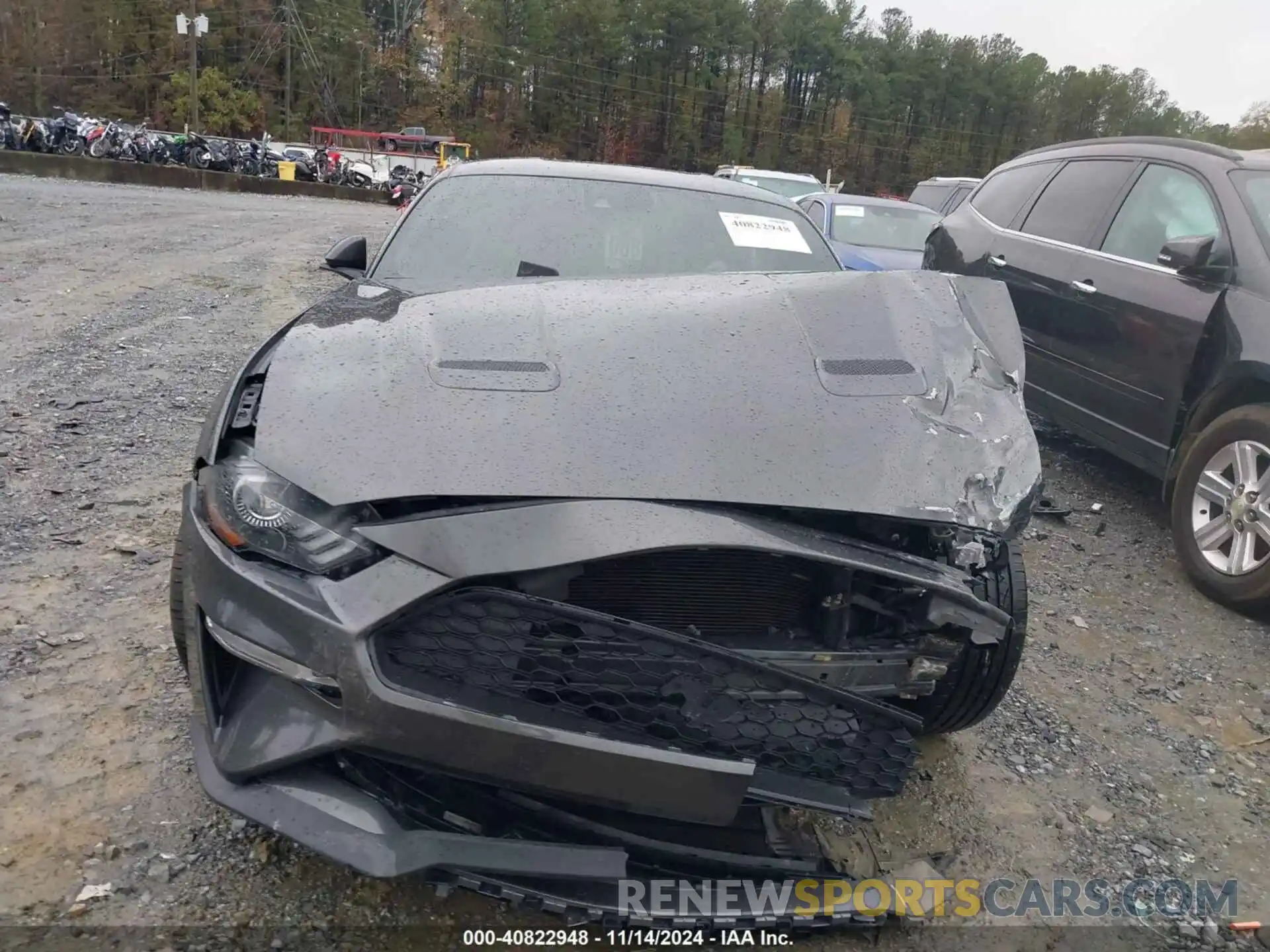 12 Photograph of a damaged car 1FA6P8TH7K5129127 FORD MUSTANG 2019