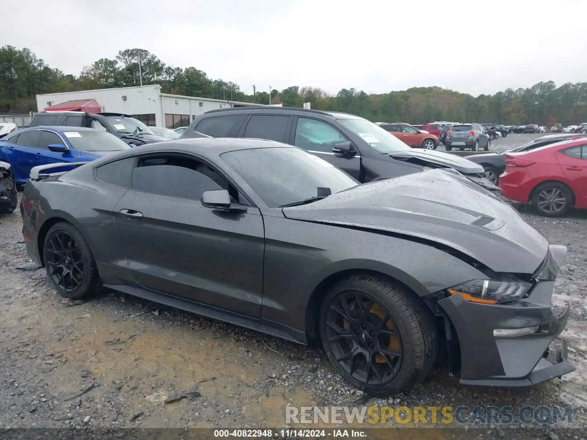 13 Photograph of a damaged car 1FA6P8TH7K5129127 FORD MUSTANG 2019