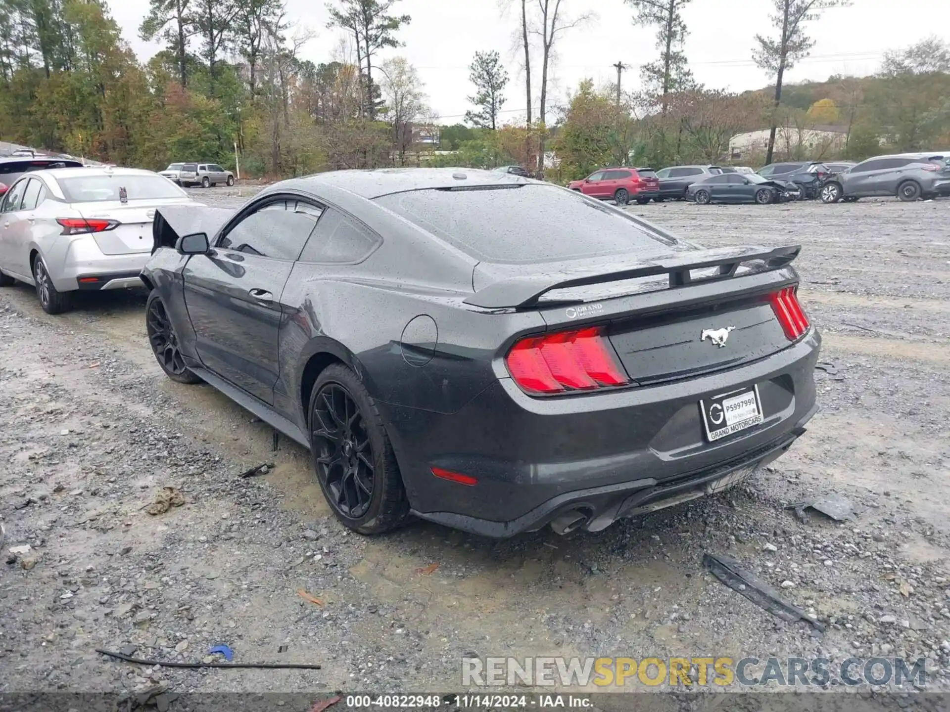 14 Photograph of a damaged car 1FA6P8TH7K5129127 FORD MUSTANG 2019