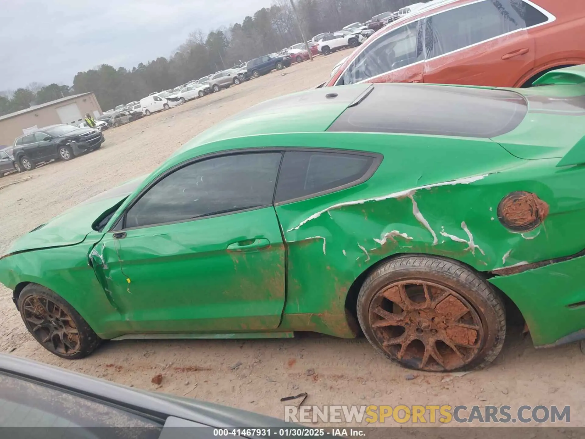 15 Photograph of a damaged car 1FA6P8TH7K5141519 FORD MUSTANG 2019