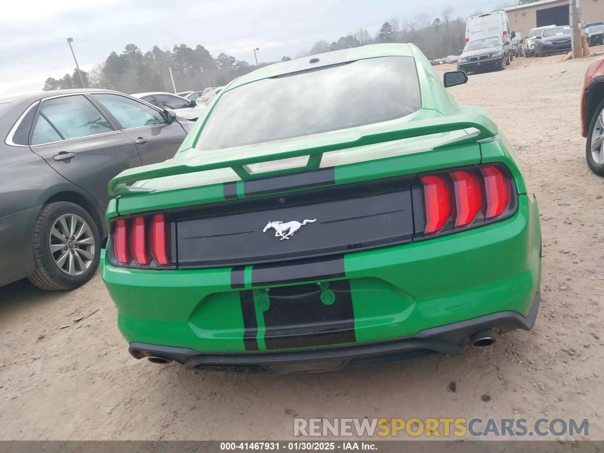 17 Photograph of a damaged car 1FA6P8TH7K5141519 FORD MUSTANG 2019