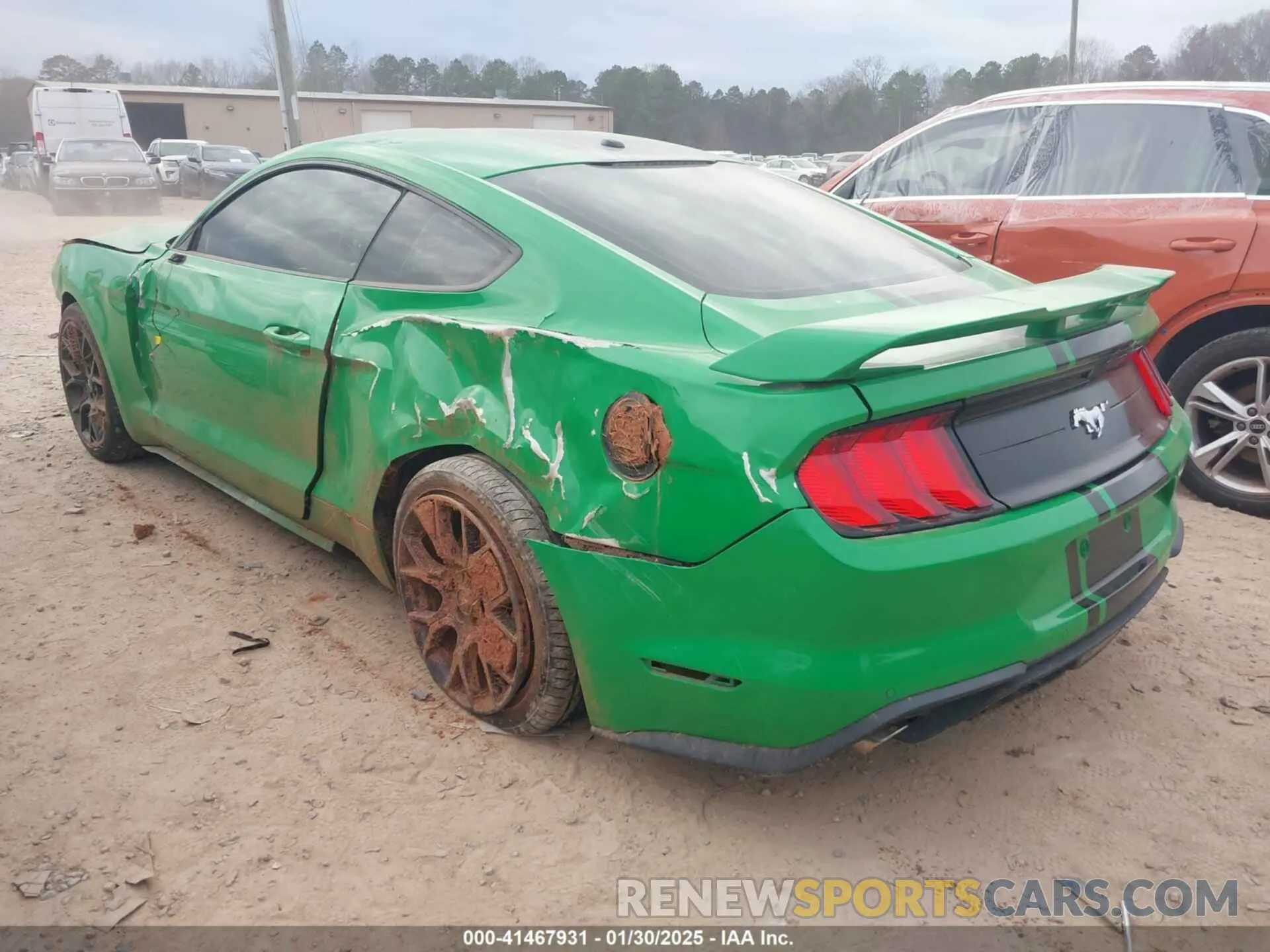 3 Photograph of a damaged car 1FA6P8TH7K5141519 FORD MUSTANG 2019